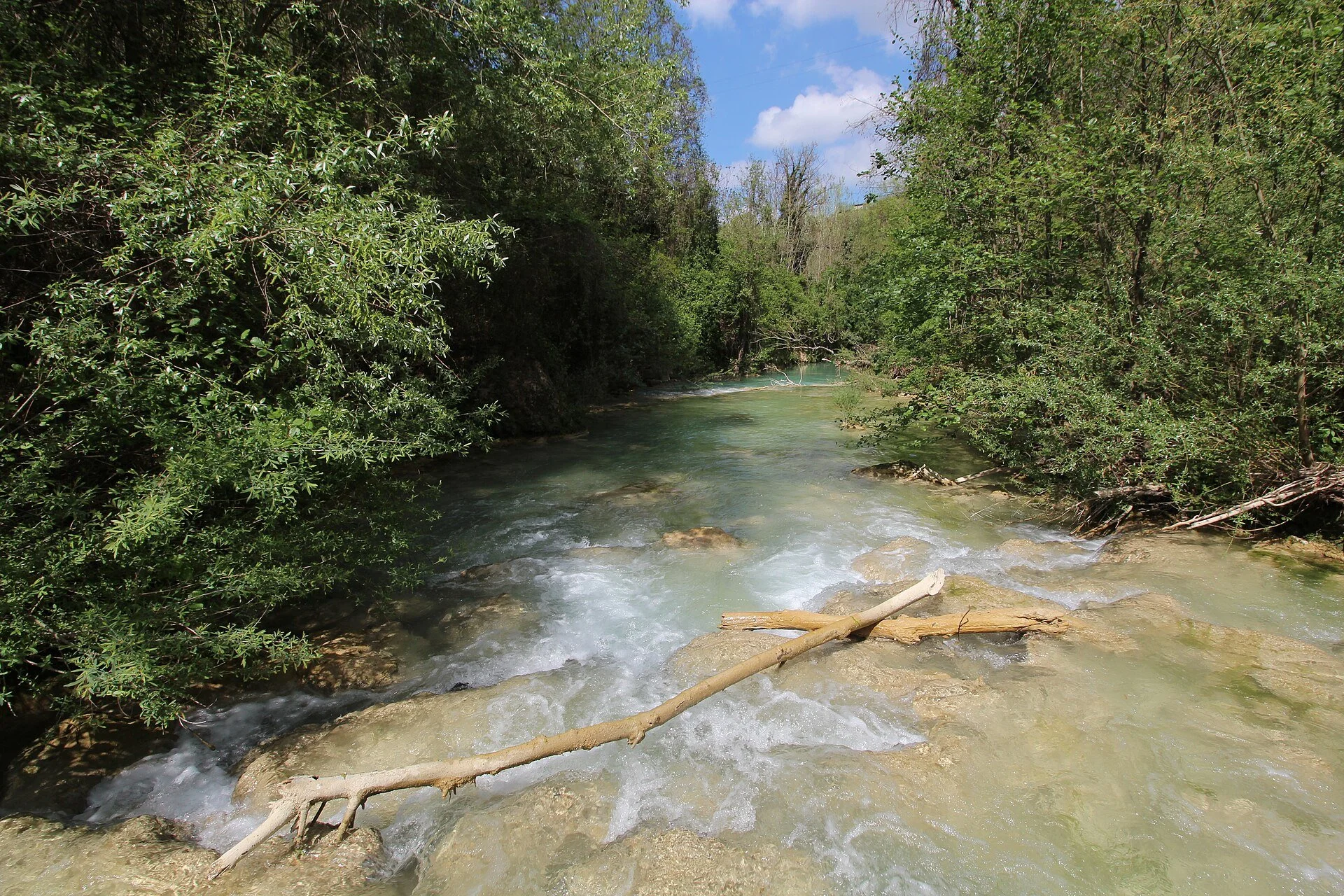A_shallow_clear_river_flows_through_a_lush_RzBvboTn.jpg