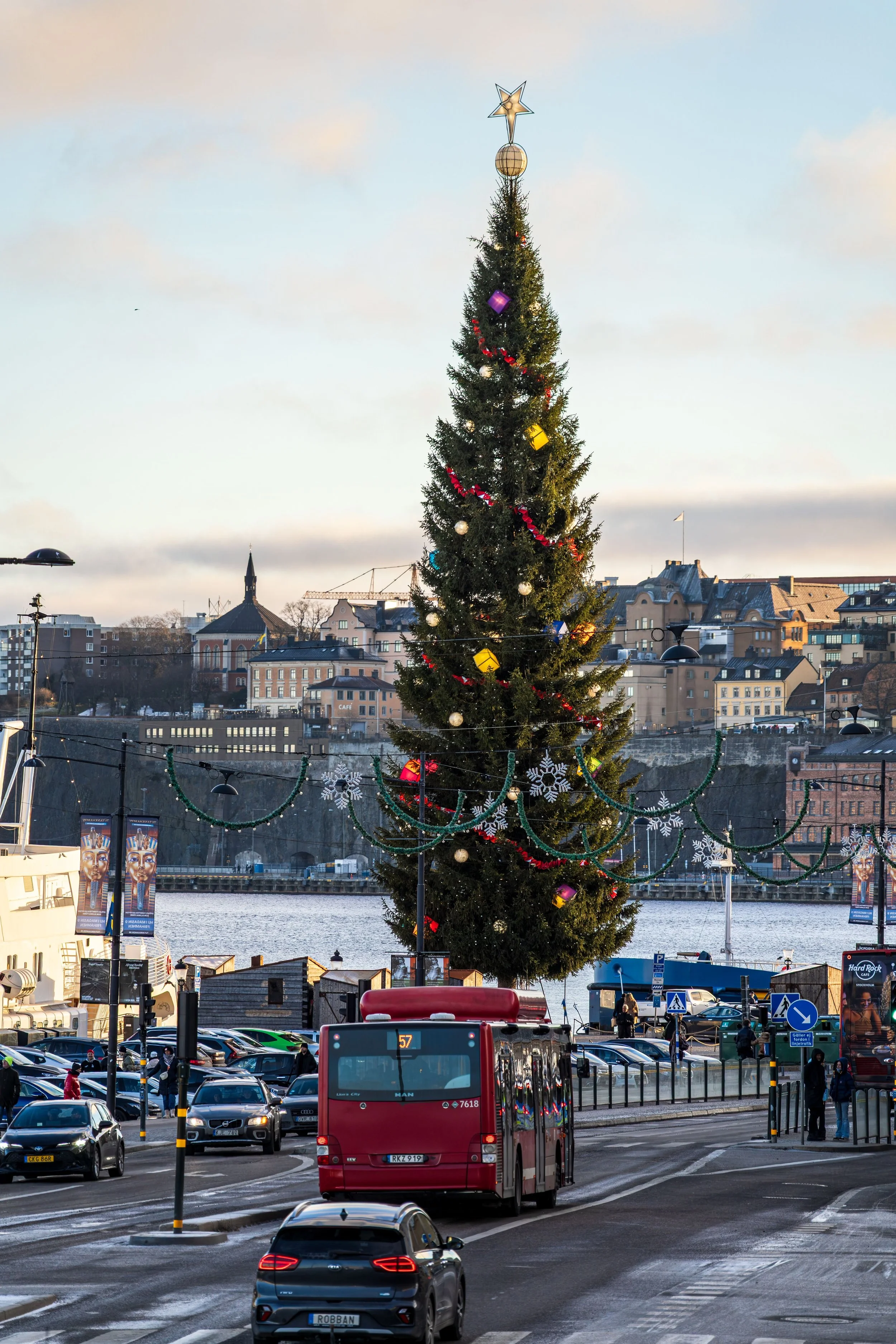 AMICI_IN_VIAGGIO_CONTENT_A_large_decorated_Christmas_tree_stands_tall_on_0sDFKuFP.jpg
