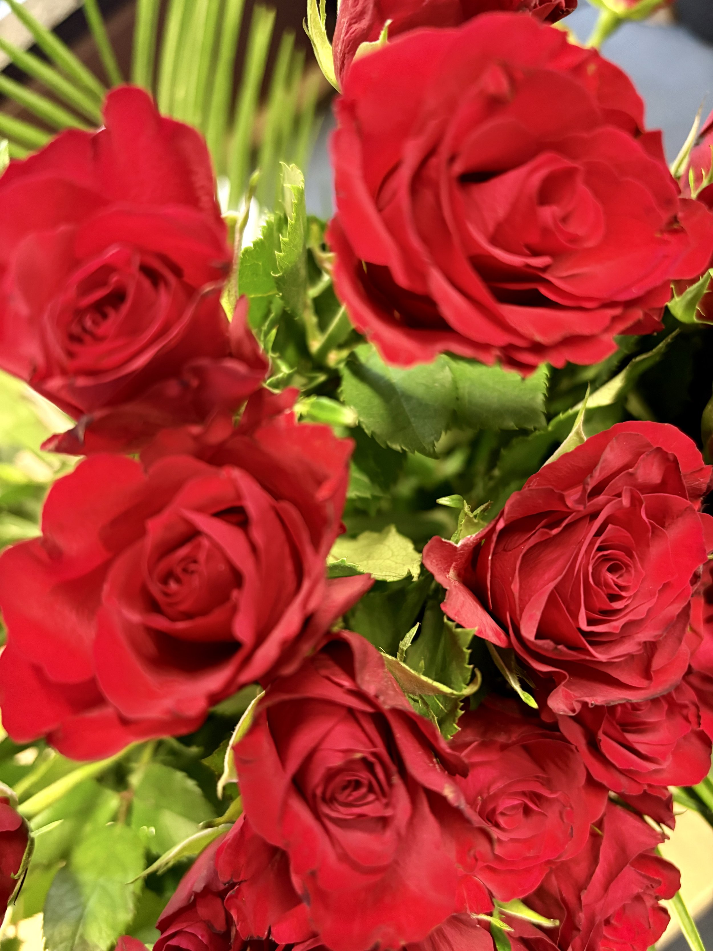 All you need is love…