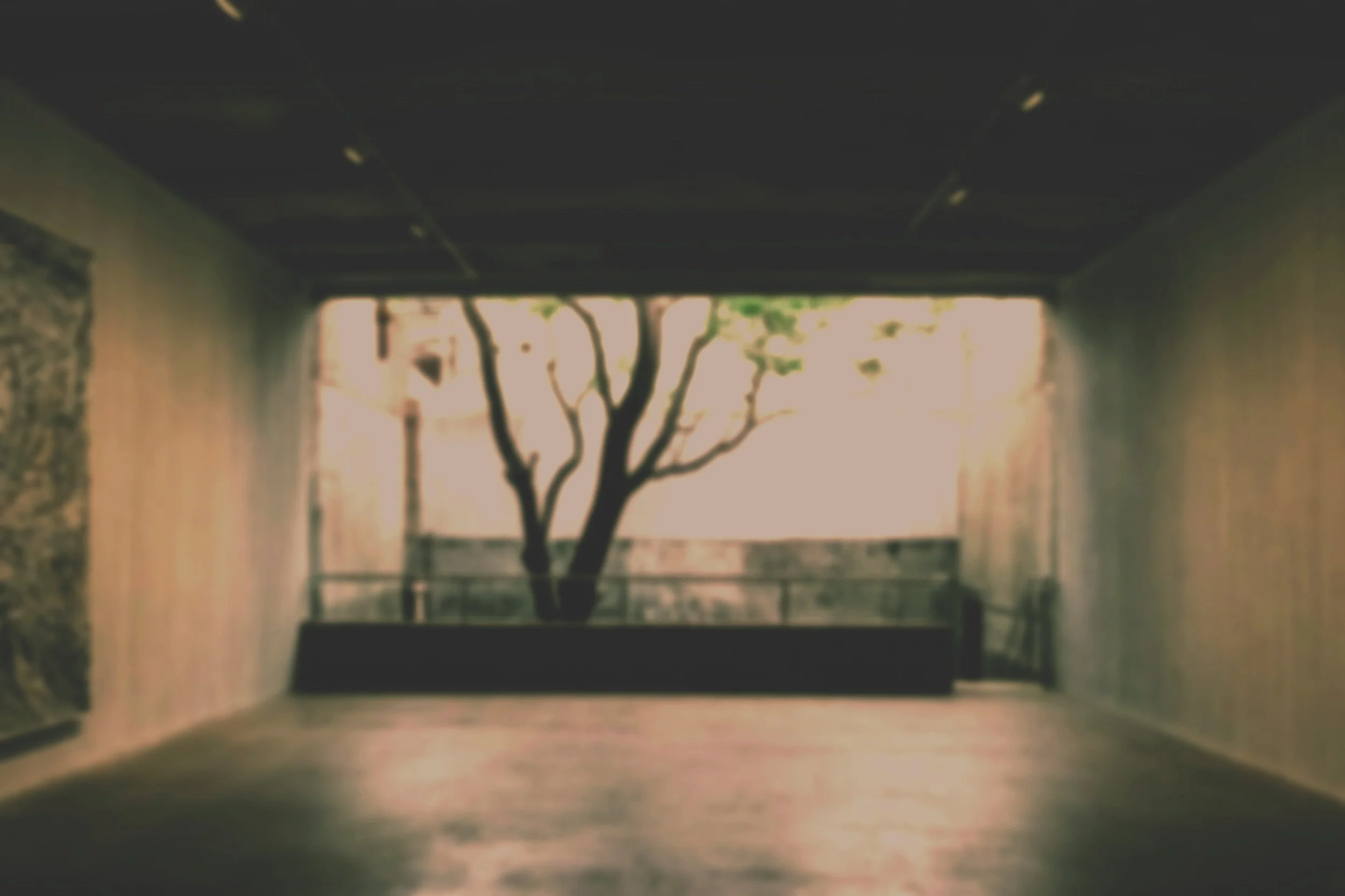 Minimalist space with large indoor tree and gray walls.