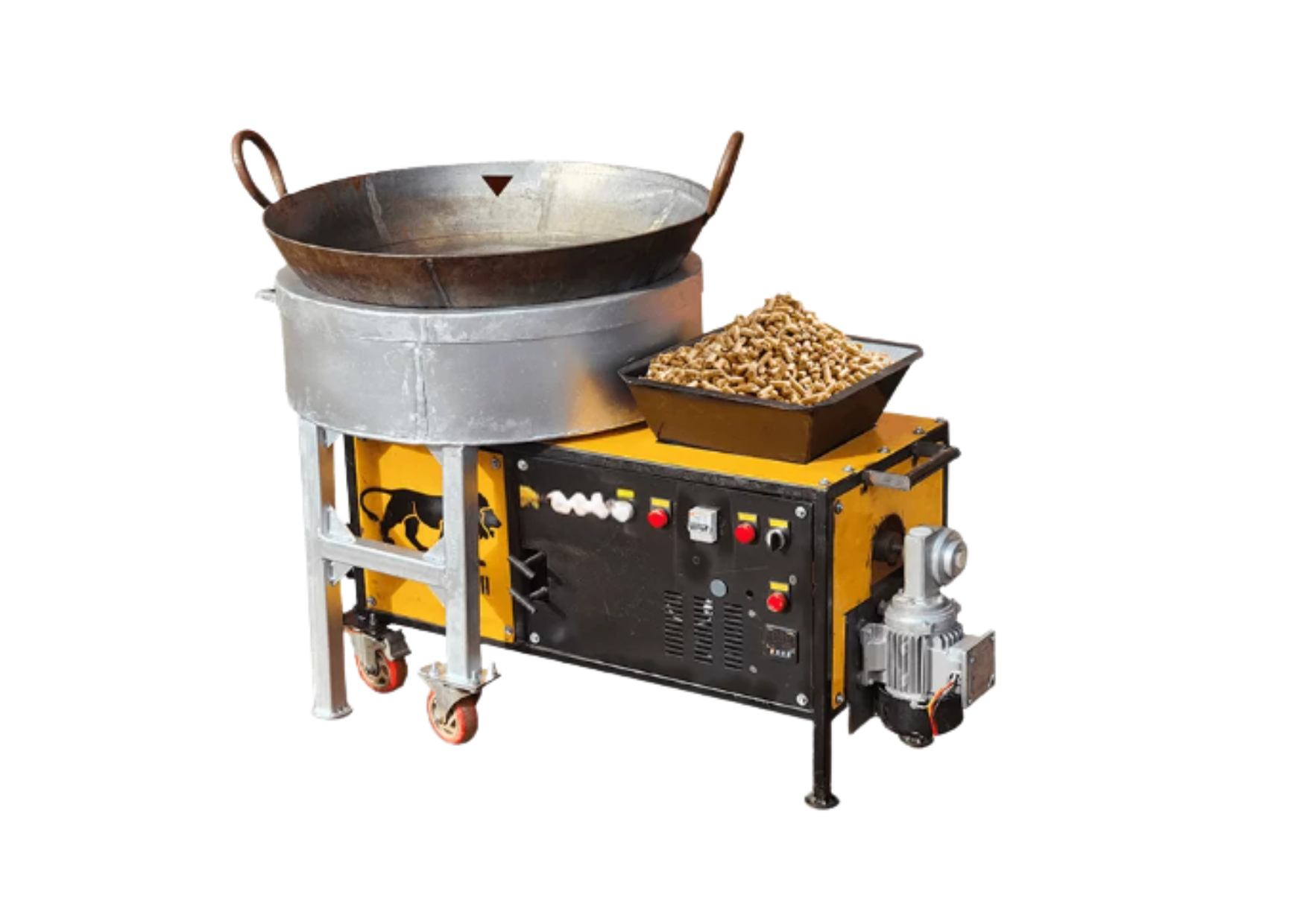 Biomass pellets used in commercial cooking stove