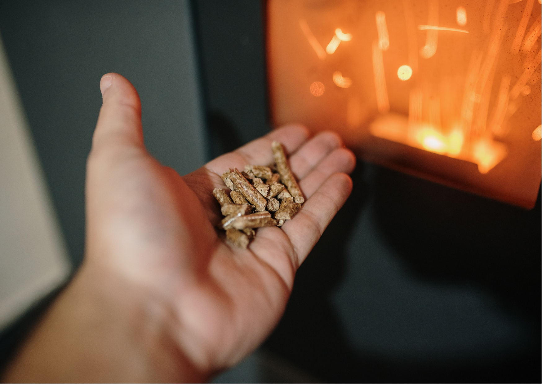 Biomass fuel used in thermal heaters.