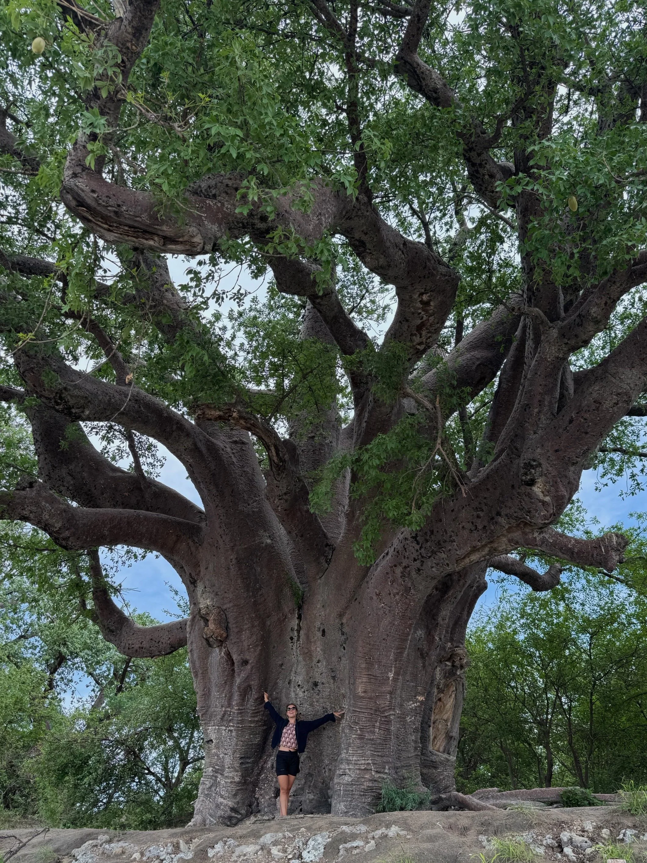 Versterk je psychologische flexibiliteit