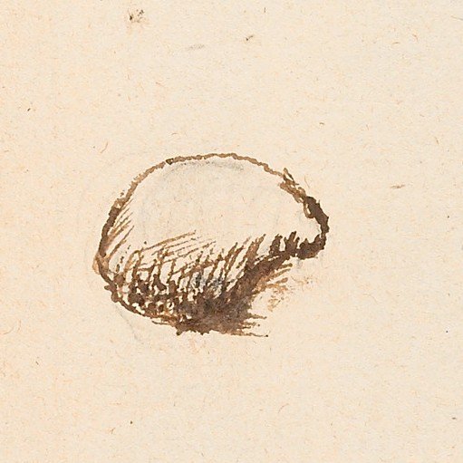 John Aubrey’s Natural History, Part 2: The Lost Species of Dinton