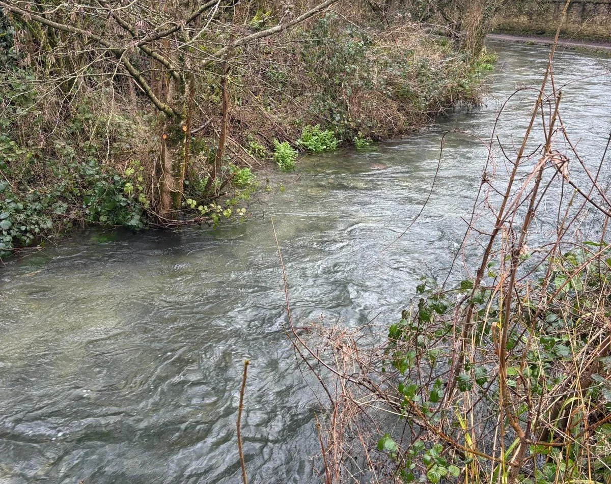 John Aubrey’s Natural History, Part 4: Reading Water