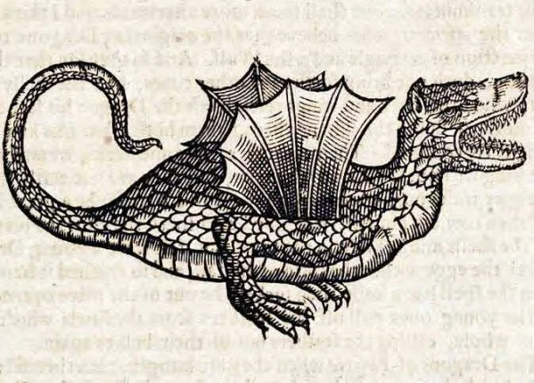 John Aubrey’s Natural History, Part 3: Are Dragons Real?