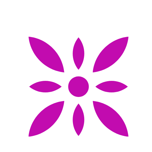 Pink flower with a circular center and oval petals on a black background.