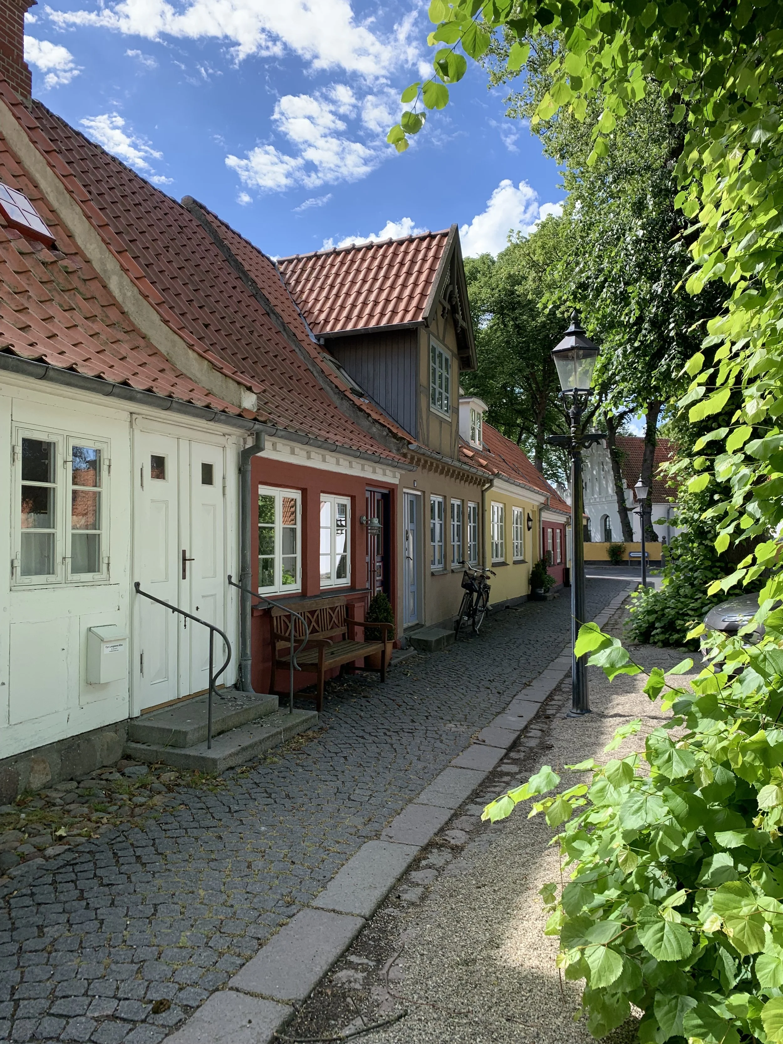 IMG_0788.jpeg