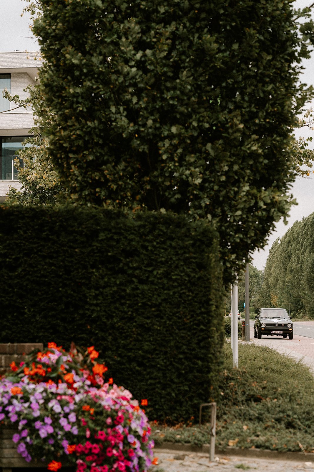 Shot by Ch_otte-S&J-167.jpg