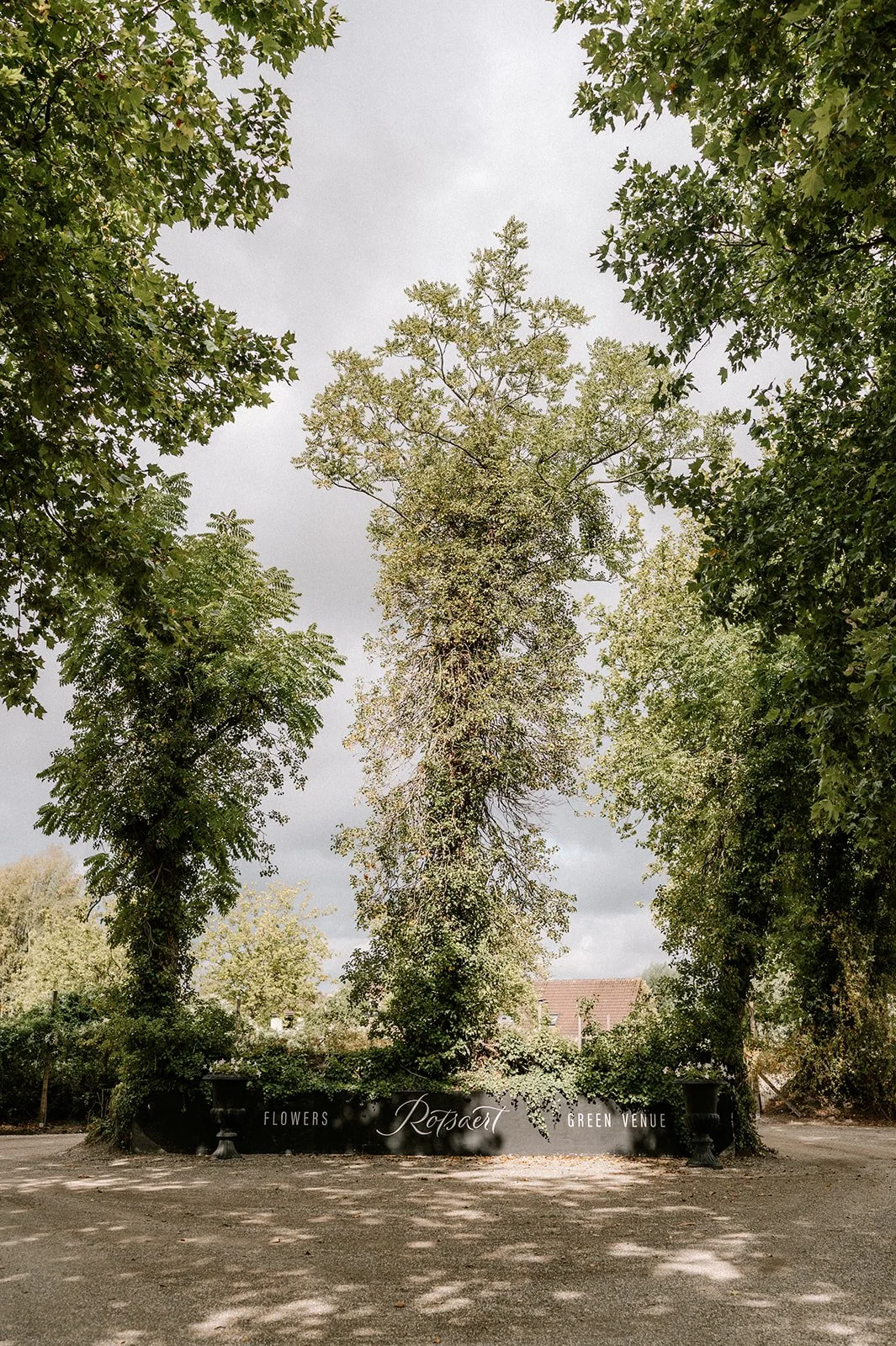 Shot by Ch_otte-L&L-1.jpg