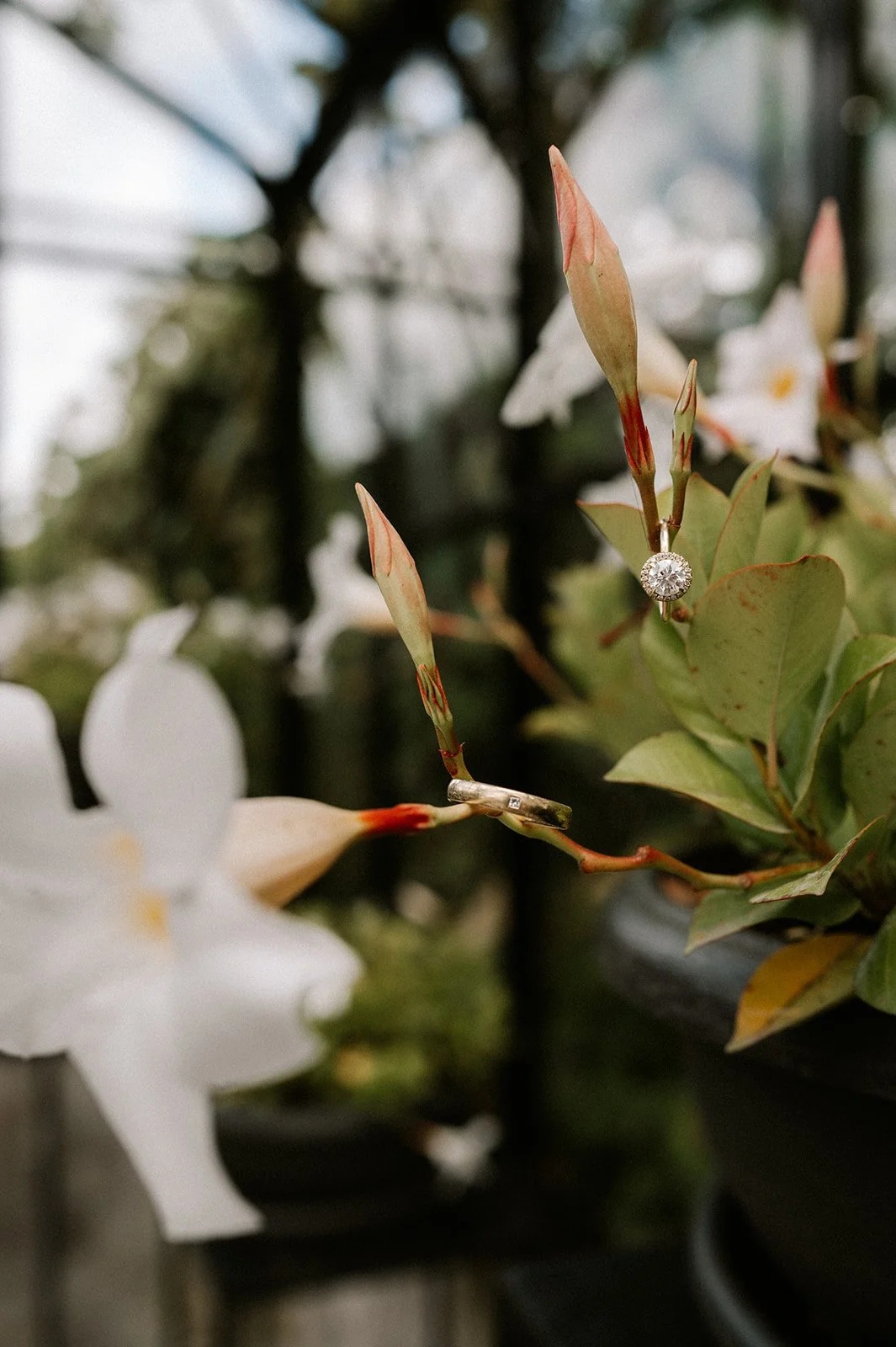 Shot by Ch_otte-L&L-30.jpg