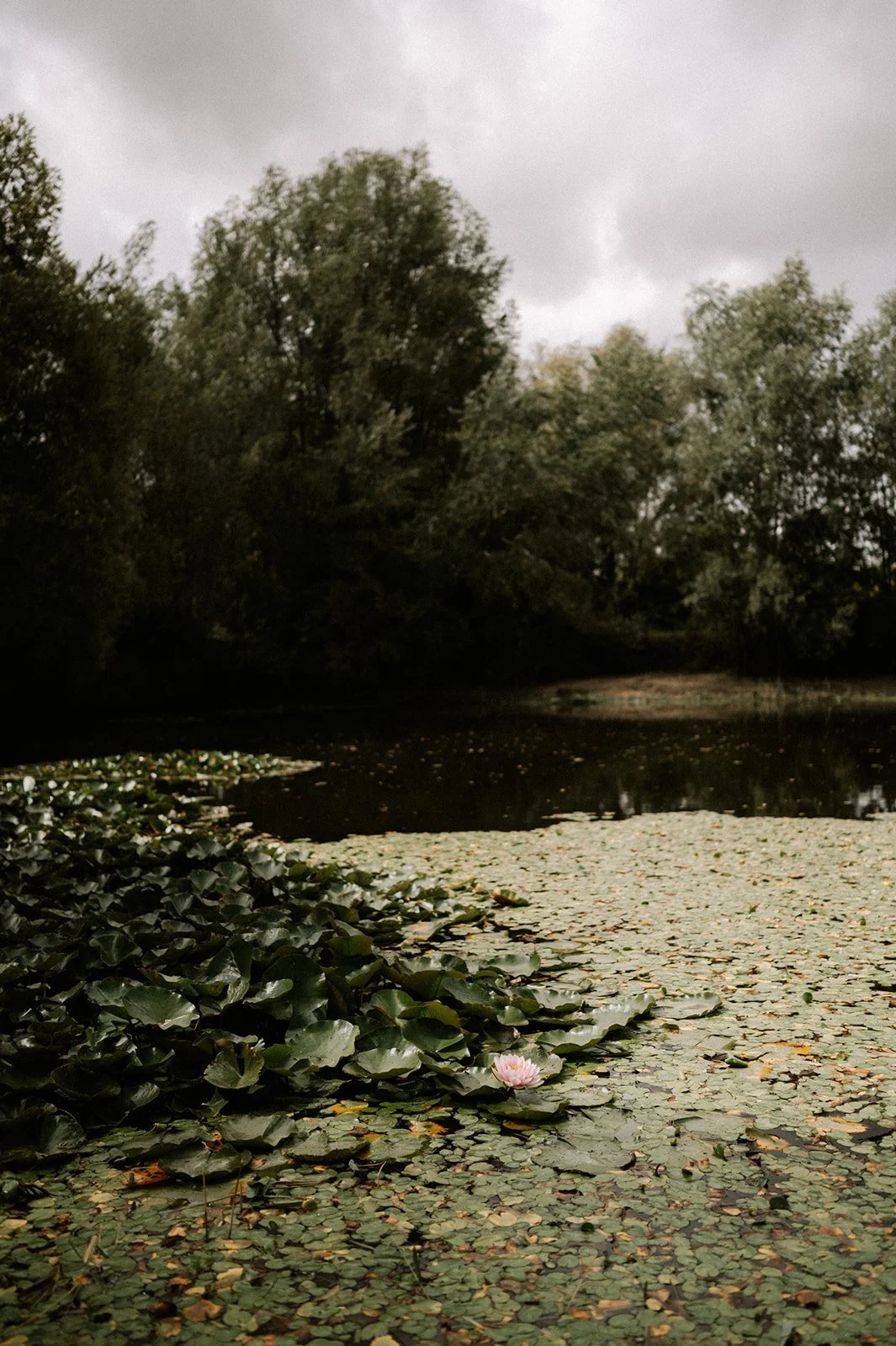 Shot by Ch_otte-L&L-146.jpg