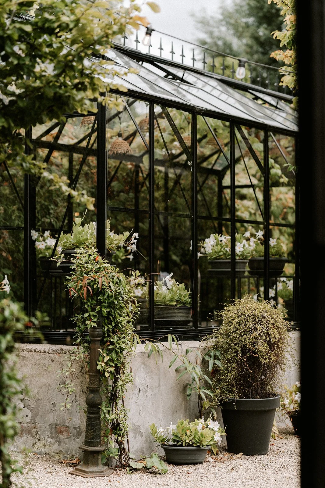 Shot by Ch_otte-L&L-679.jpg