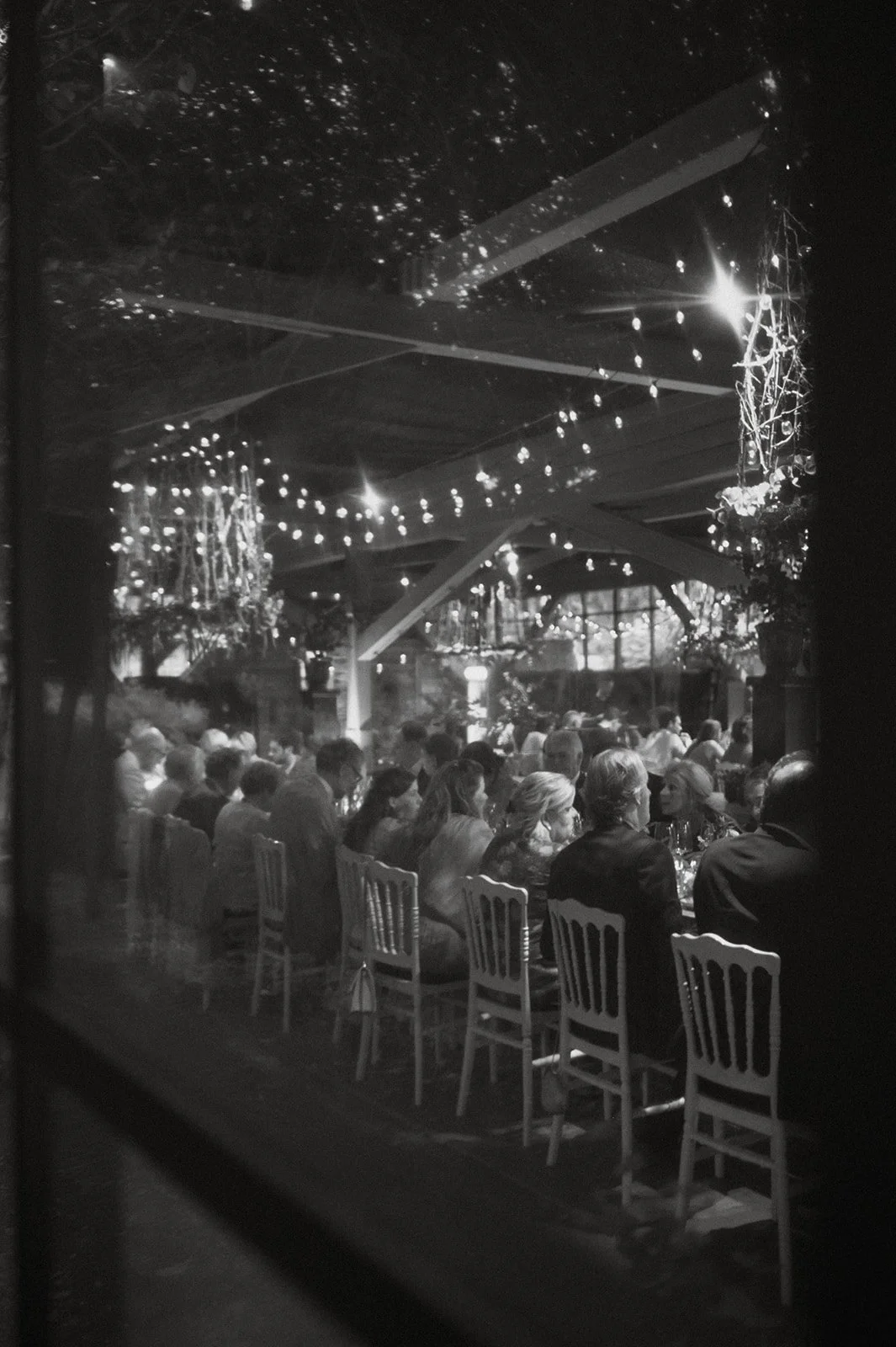 wedding party dining with ambient light in a greenhouse