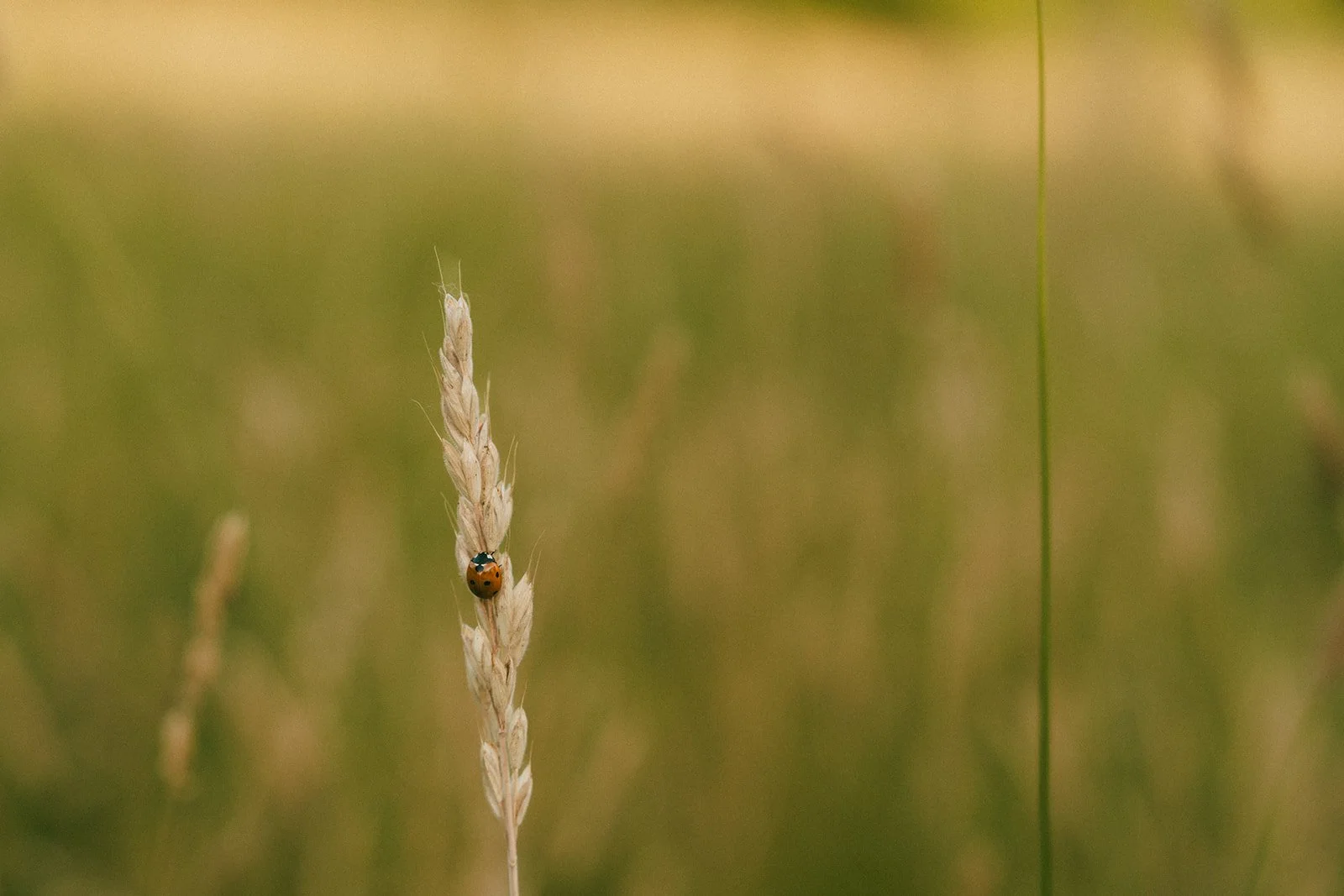 Shot by Ch_otte-49.jpg