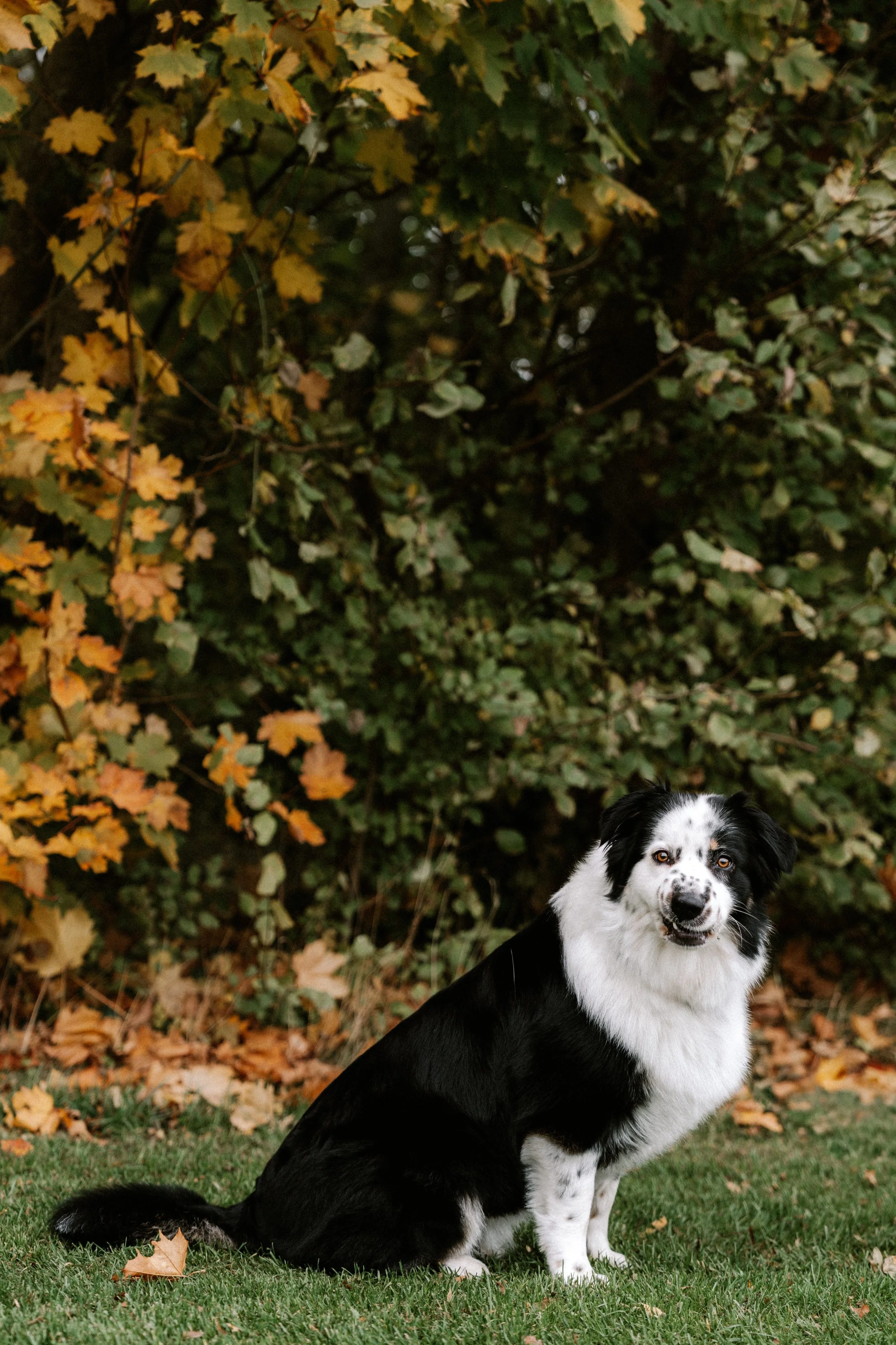 Shot by Ch'otte-67.jpg