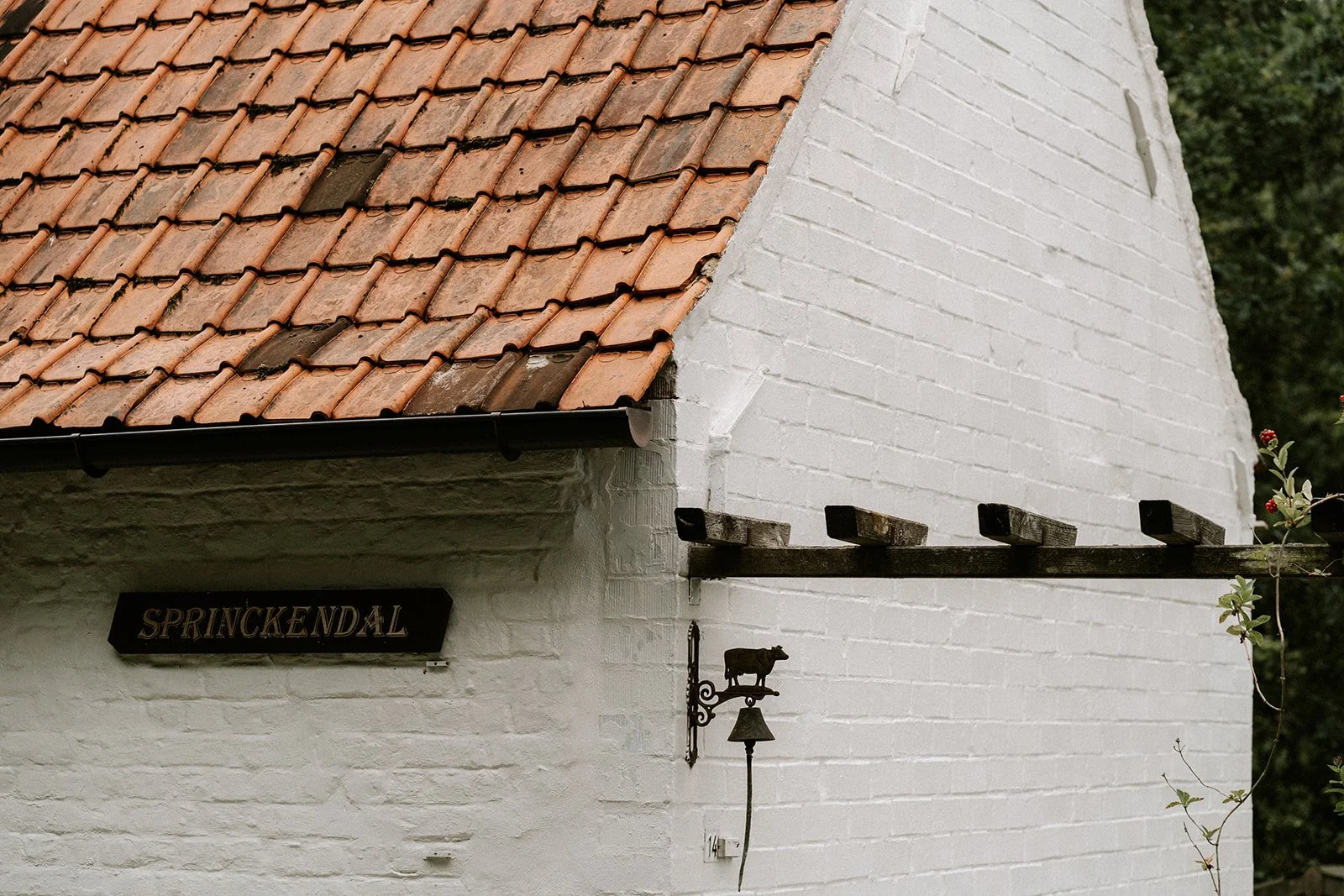 Shot by Ch_otte-S&J-21.jpg