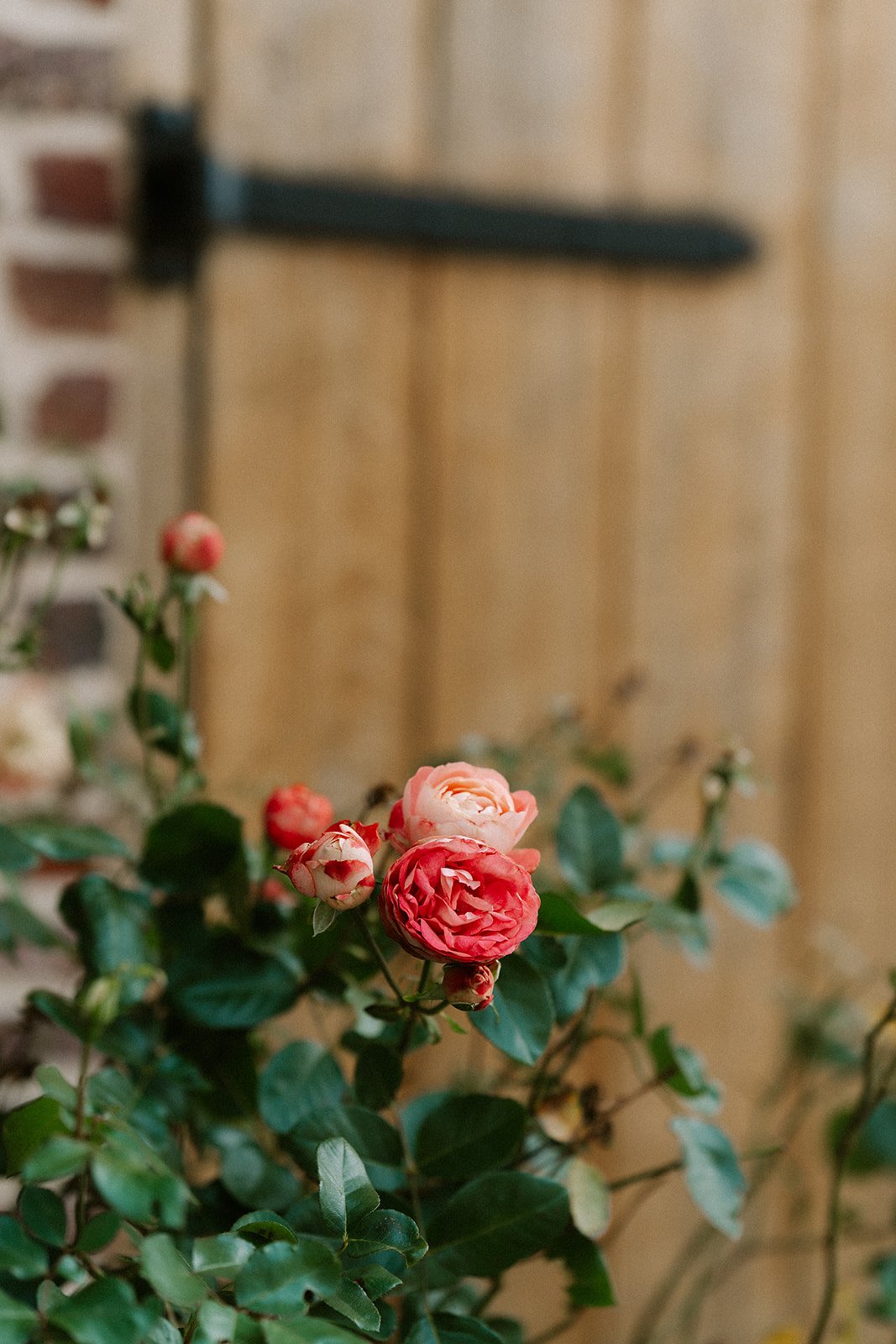 Shot by Ch_otte-A&A-6.jpg