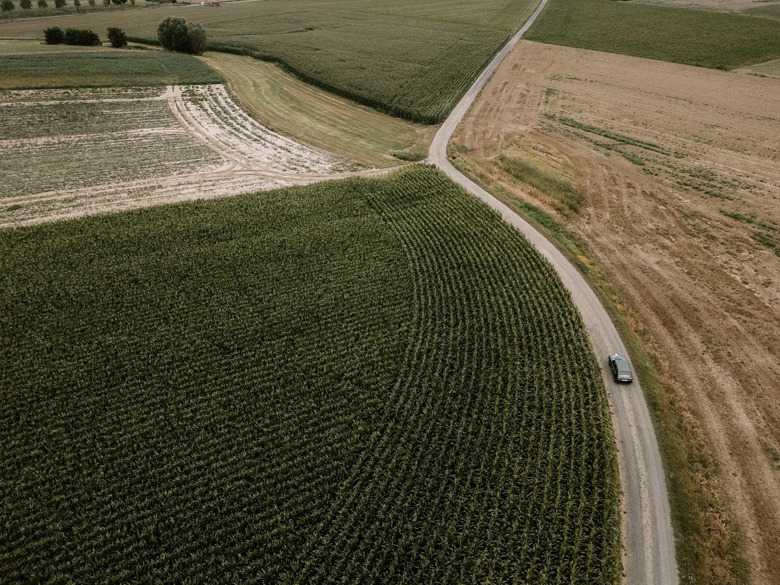 Shot by Ch_otte-S&J-451.jpg