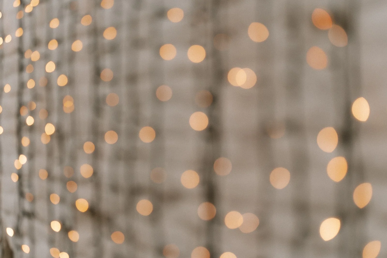 Shot by Ch_otte-A&A-752.jpg