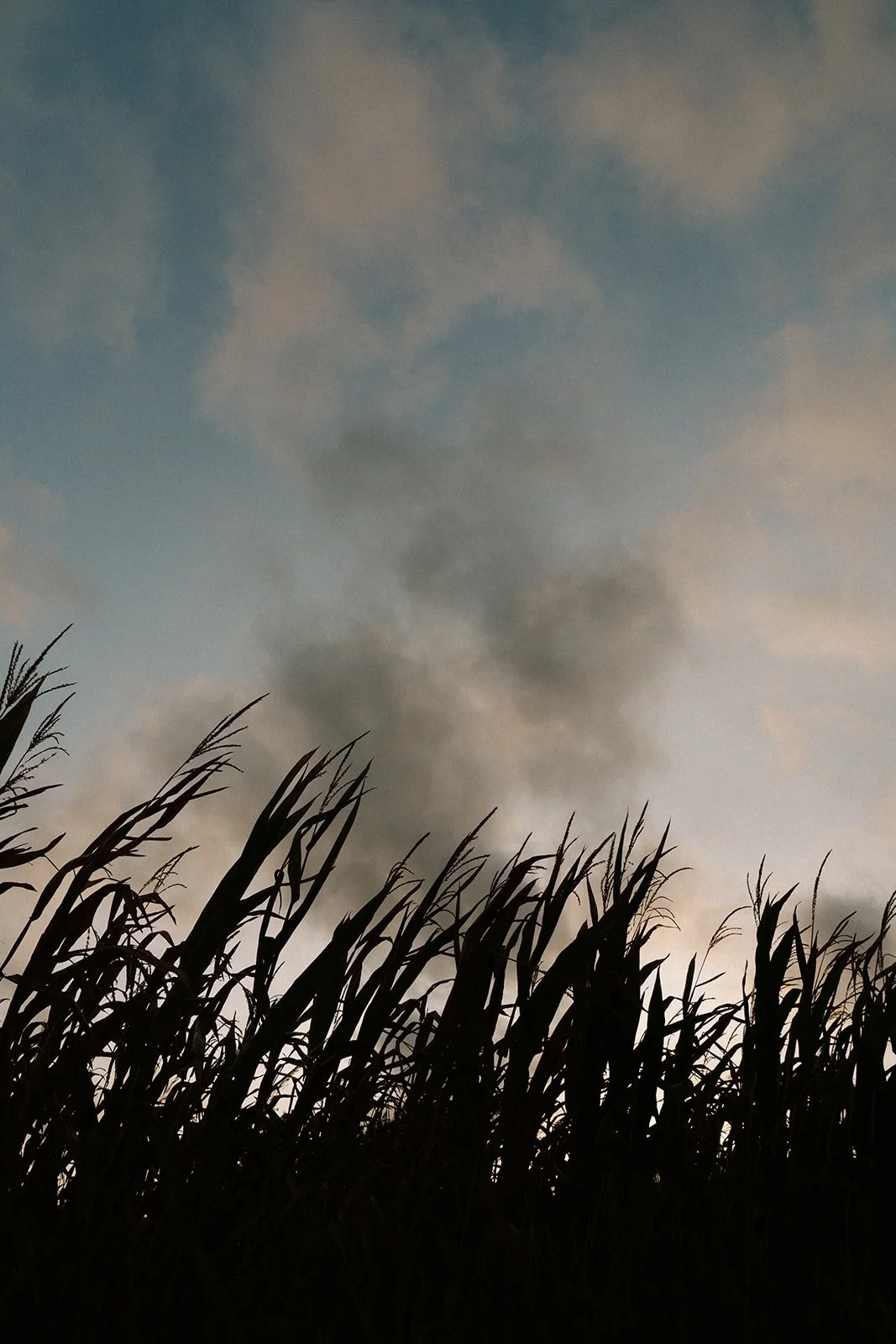 Shot by Ch_otte-A&A-755.jpg