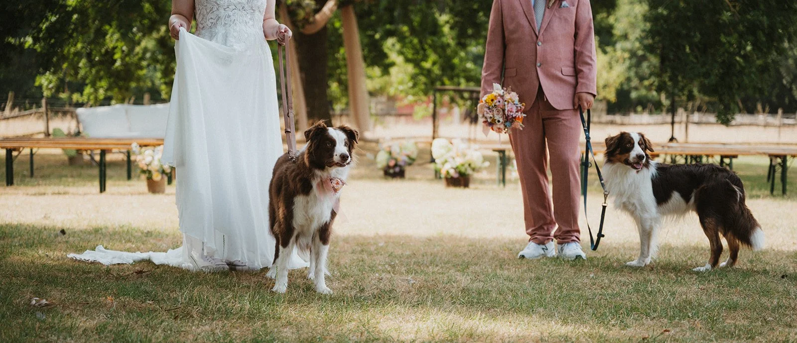 L & L | Who let the dogs out