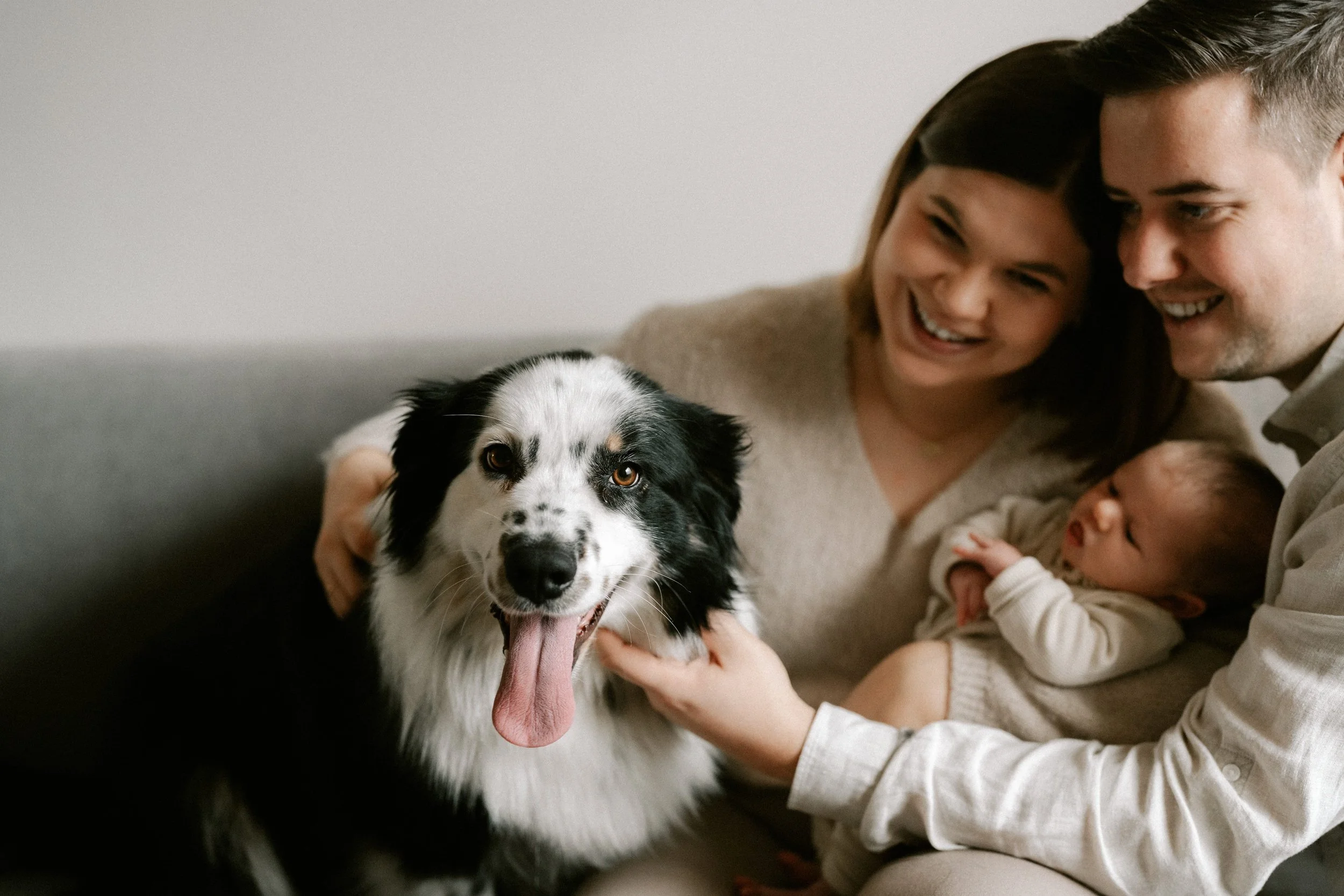 newborn photoshoot with the family dog at home
