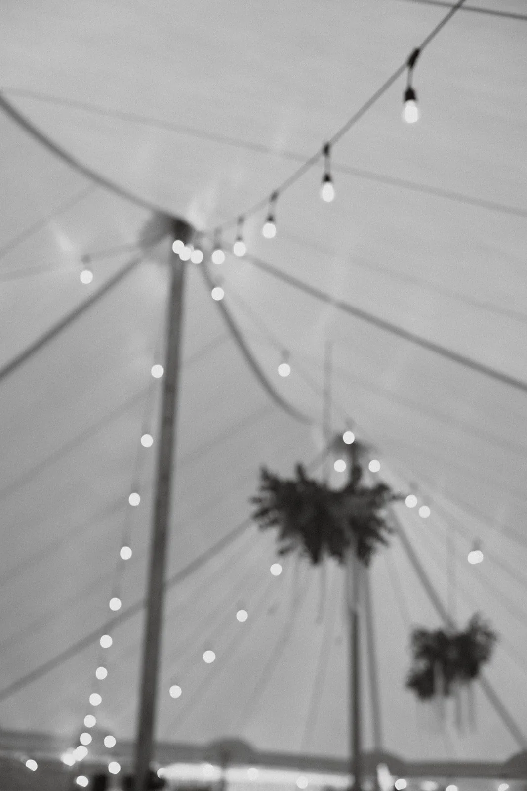 Shot by Ch_otte-S&J-824.jpg