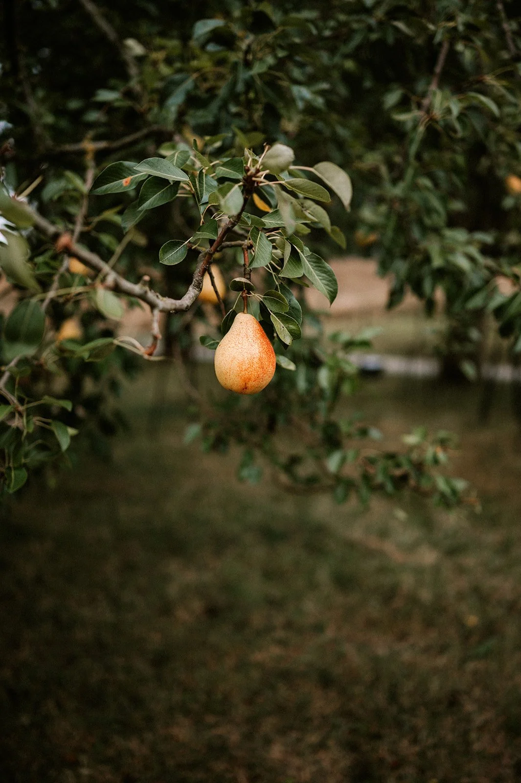 Shot by Ch_otte-S&J-613.jpg