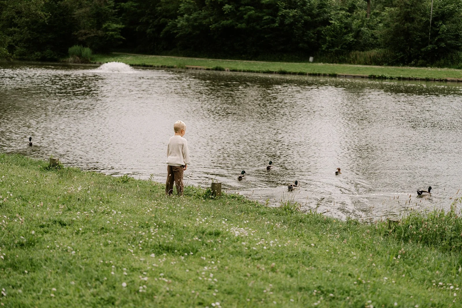Ontspannen familiebeelden gemaakt in een park in de Vlaamse Ardennen.