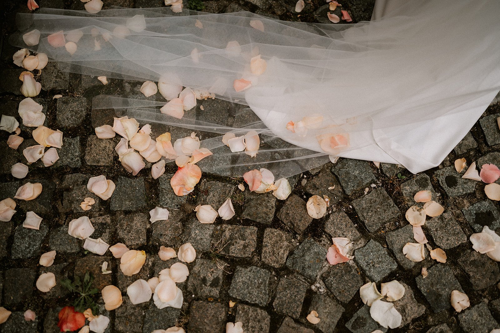 Shot by Ch_otte-S&J-415.jpg