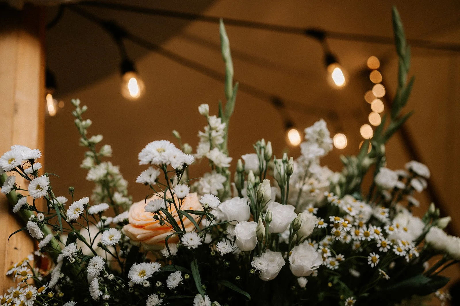 Shot by Ch_otte-S&J-759.jpg