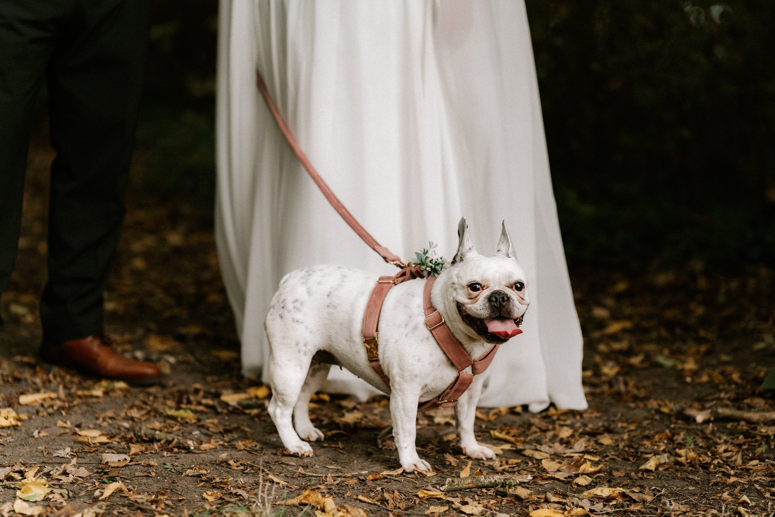 Shot by Ch'otte-39.jpg