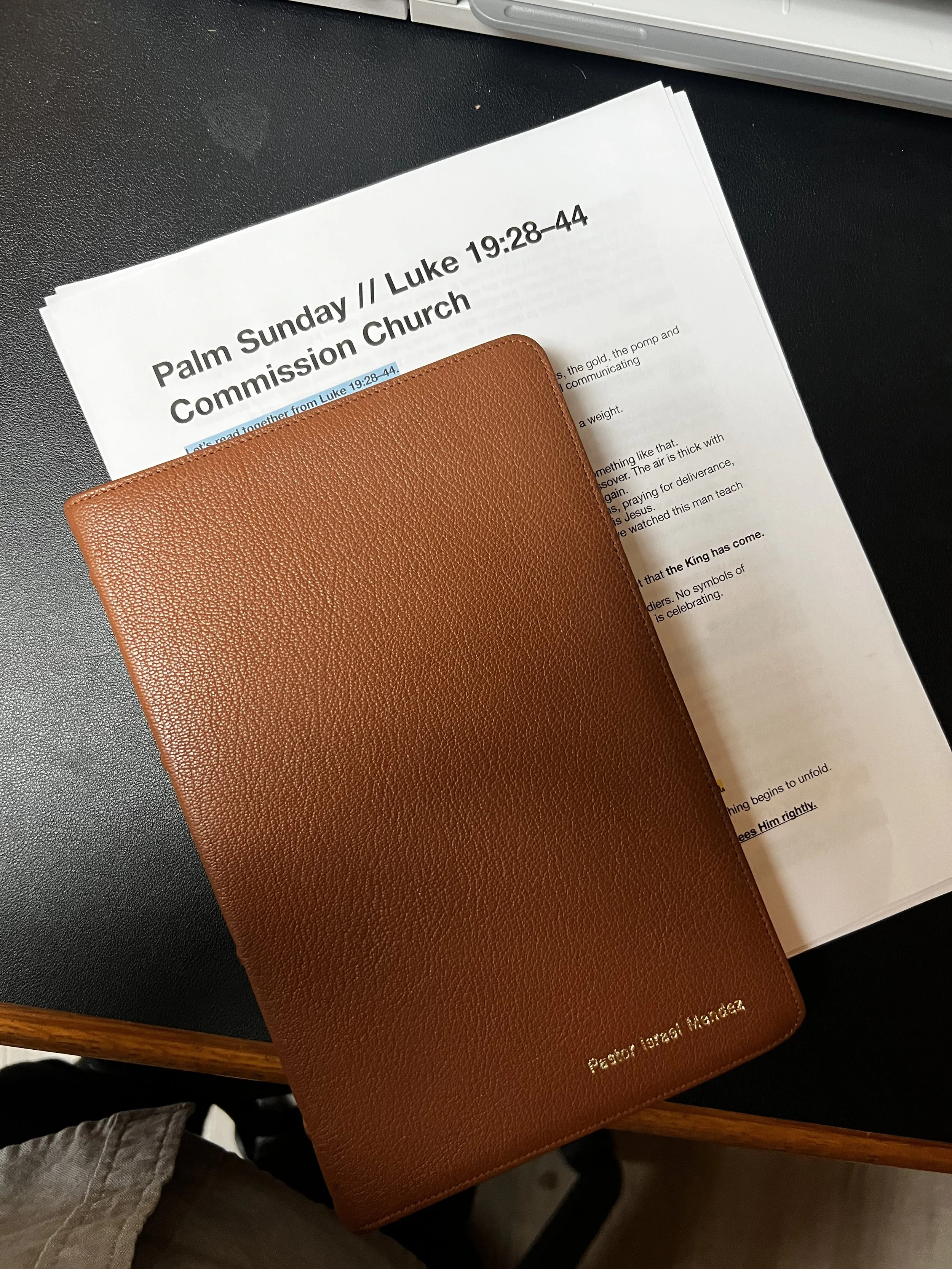 Palm Sunday Reflections