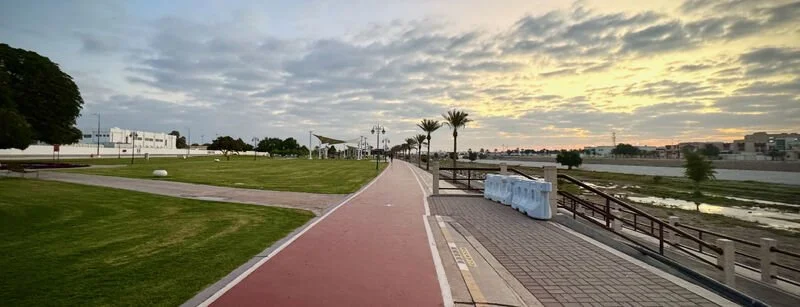 Community Sport Collective