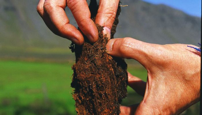 When nature isn’t “natural”: Reflections on World Wetlands Day