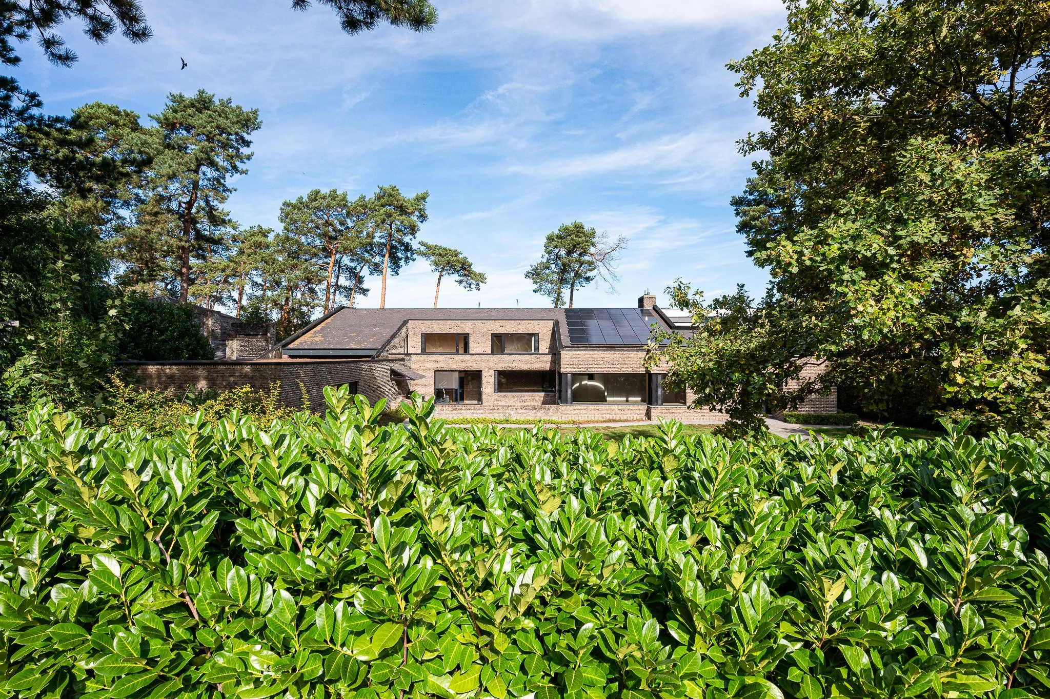 Sint-Denijs-Westrem : Co-sales