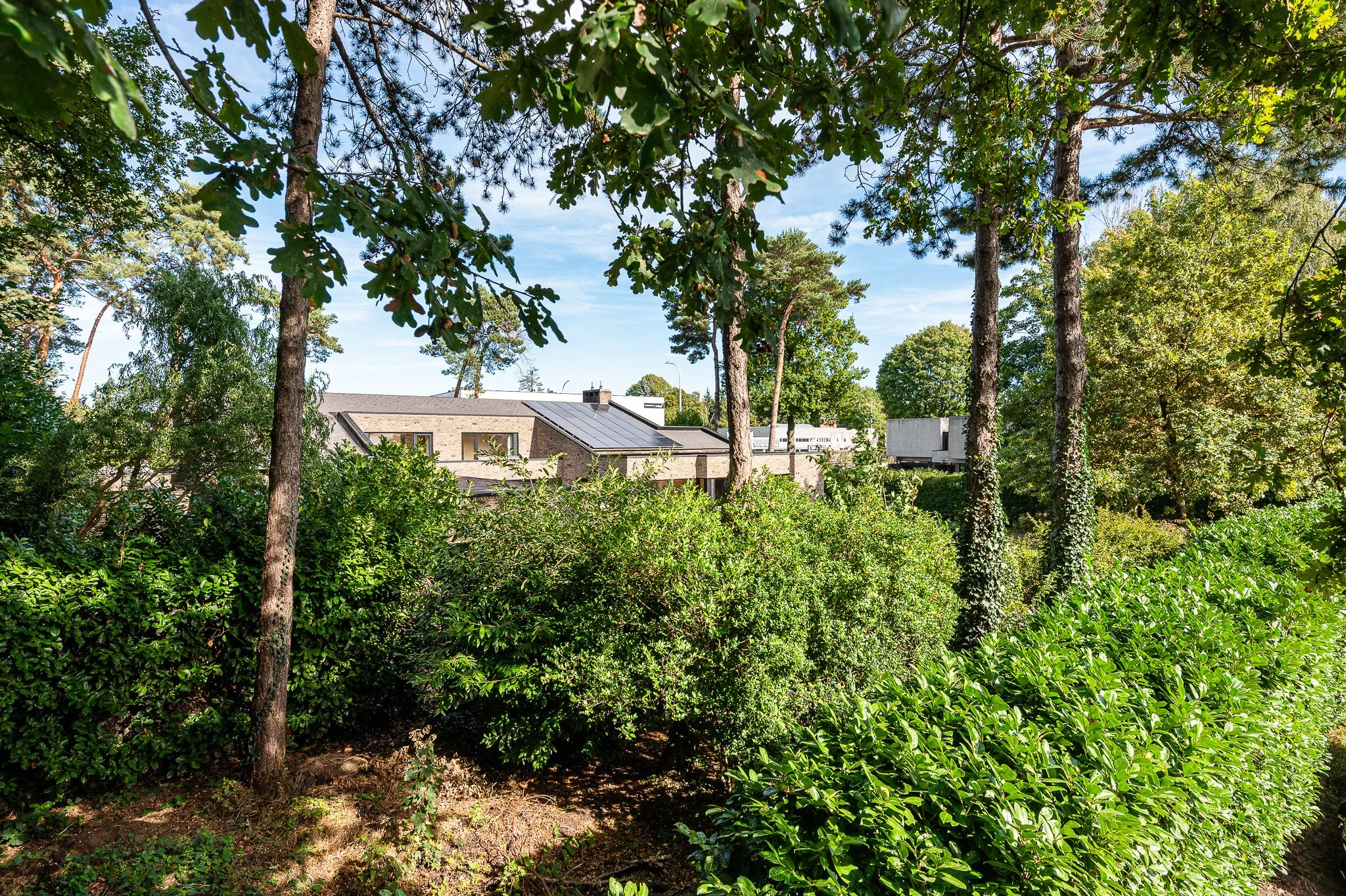 Sint-Denijs-Westrem : Co-sales