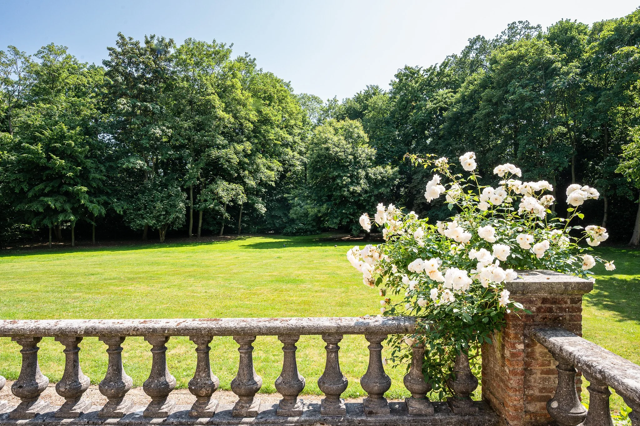 Discrete Sale - Regional Record Sale ***** 