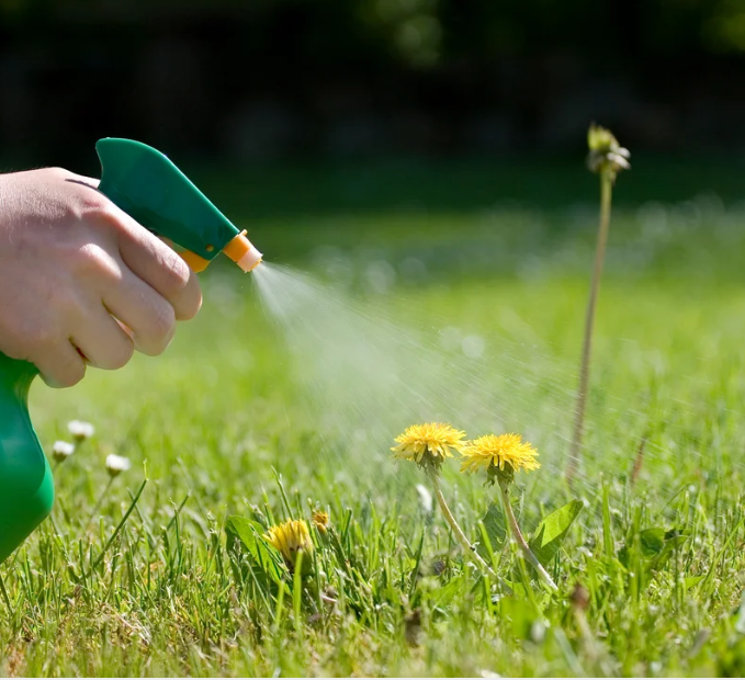 weed killer.png
