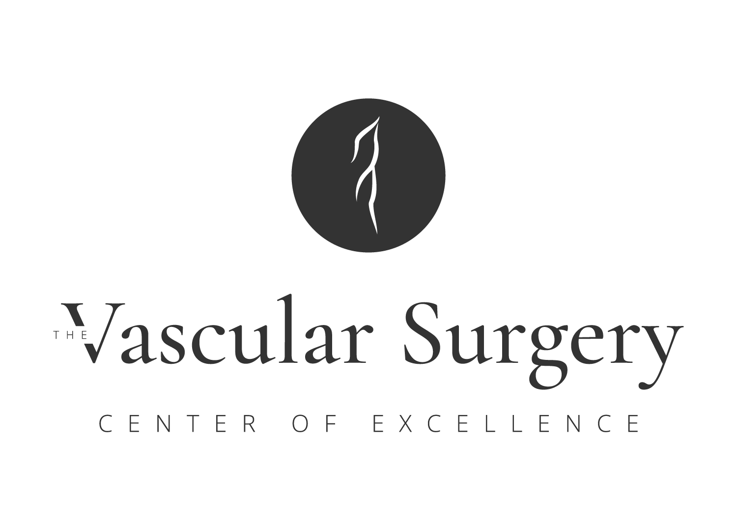 Logo of The Vascular Surgery Center of Excellence with abstract design.