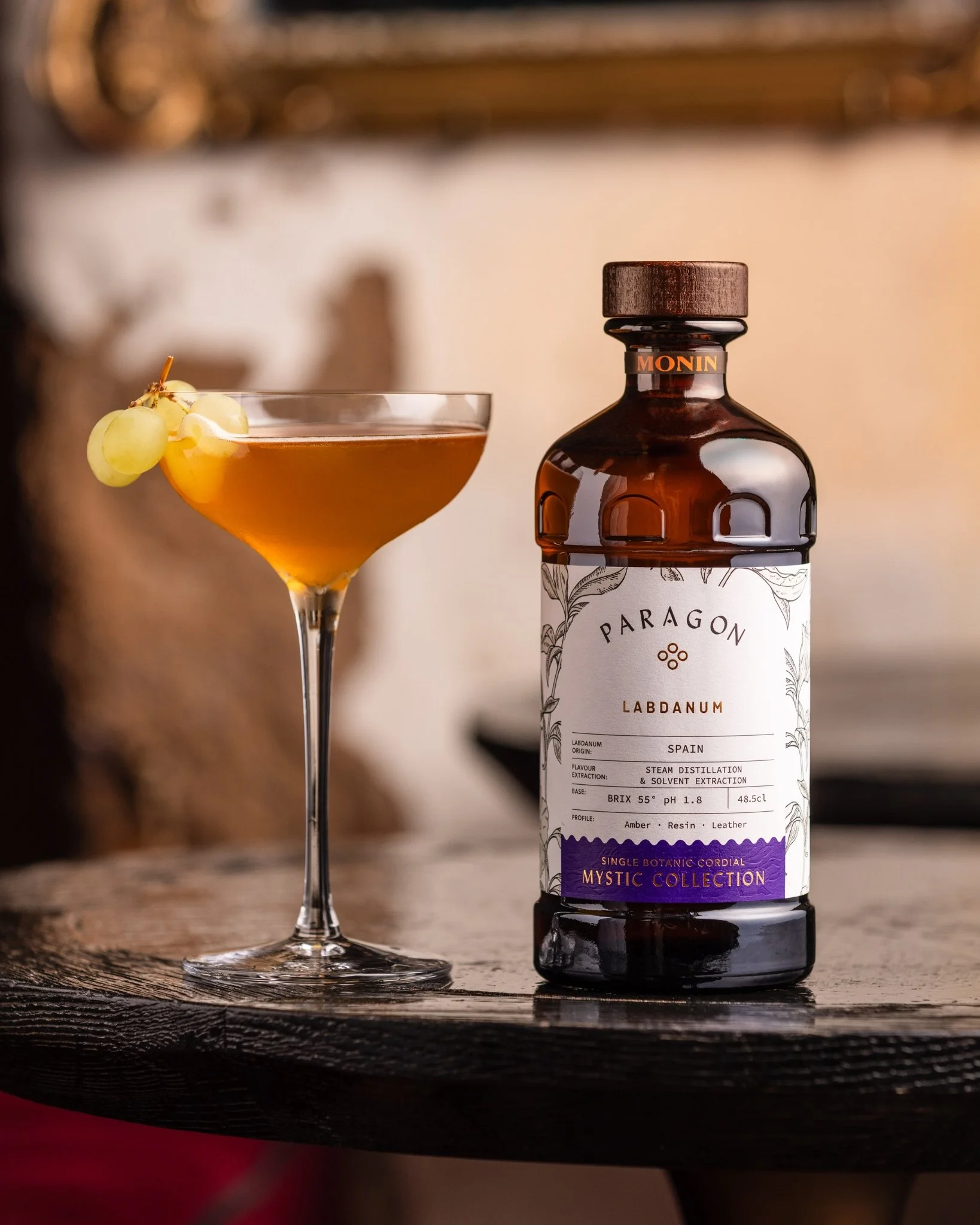 Paragon Portrait.jpg