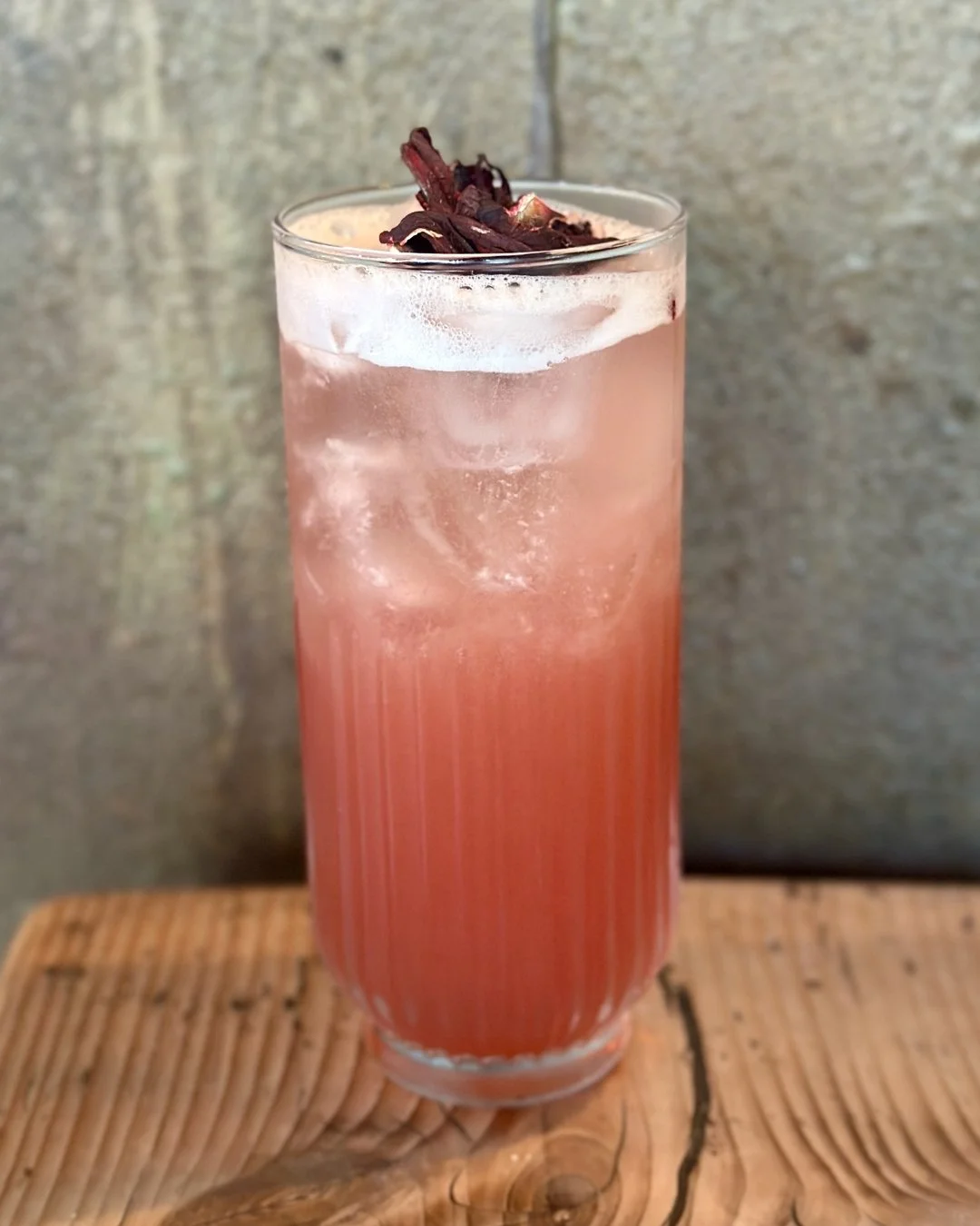 EVERLEAF HIBISCUS PALOMA (NON-ALC)