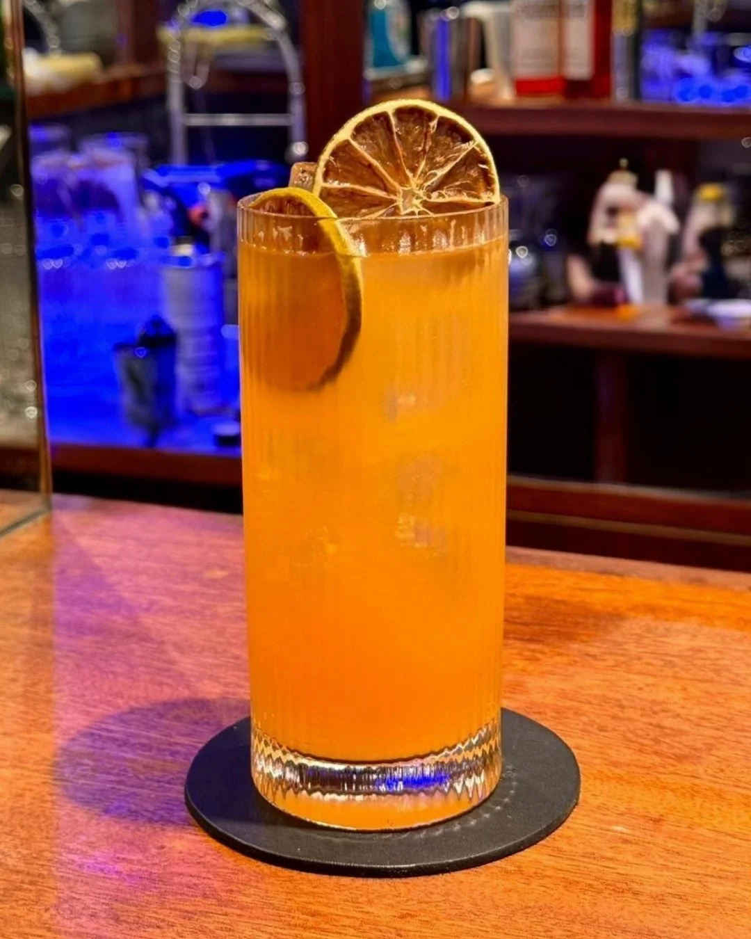 SCIMMIA HIGHBALL