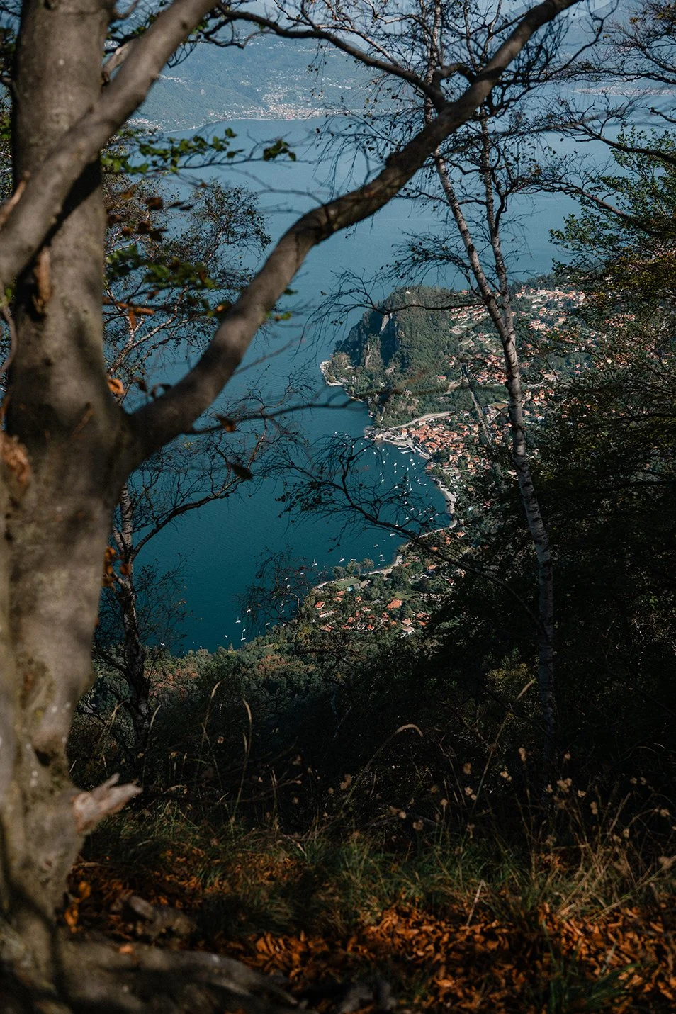_DSC9076.jpg