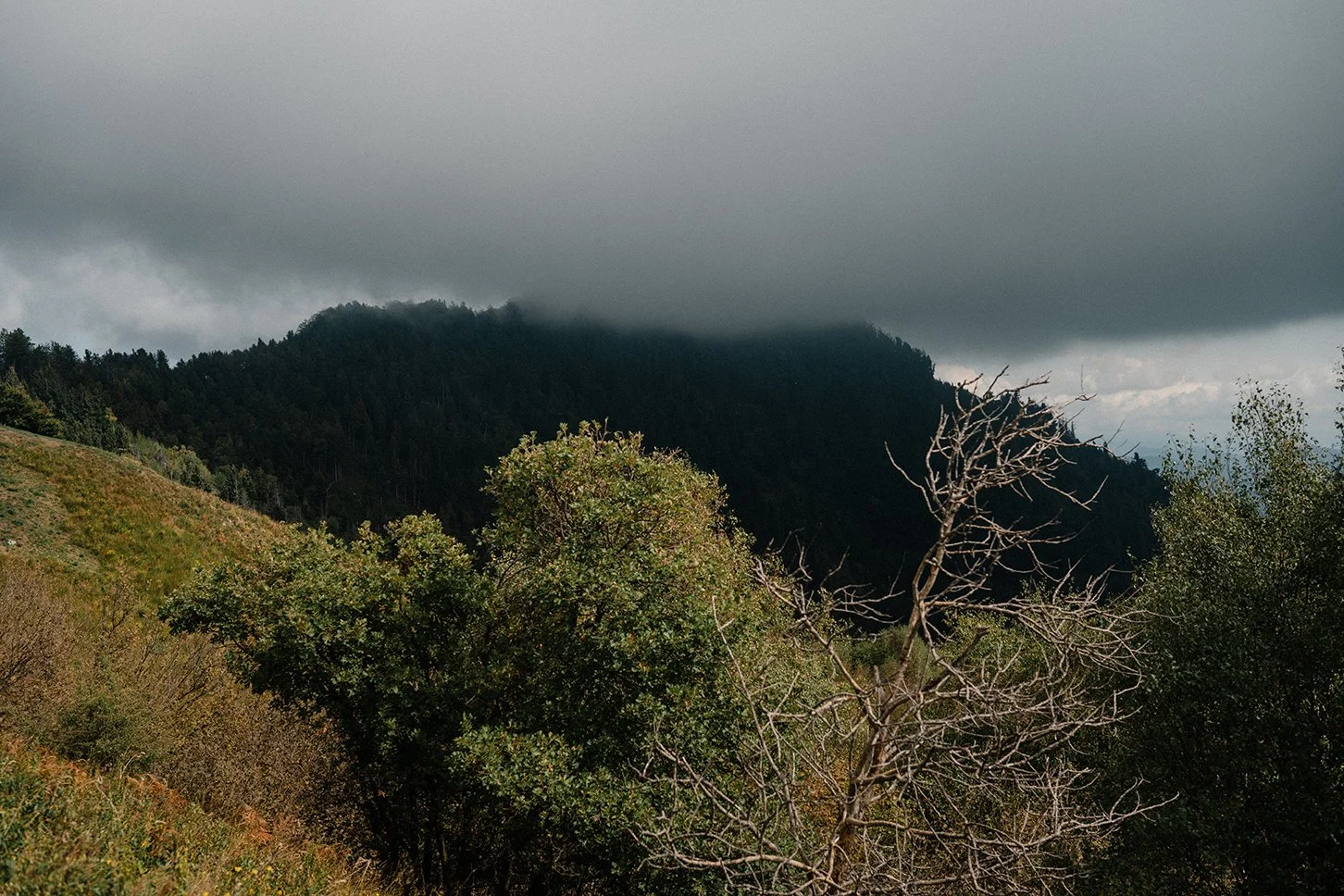 _DSC9113.jpg
