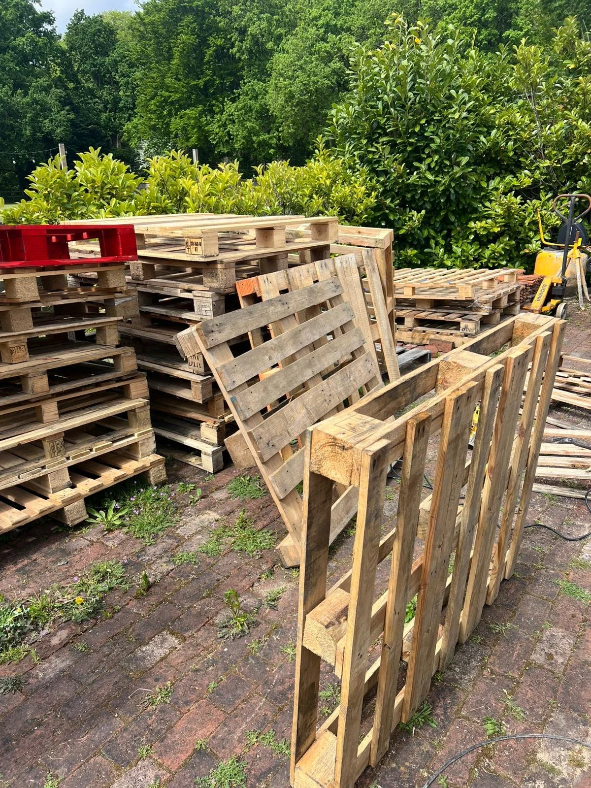 WhatsApp Image 2025-05-04 at 14.38.06.jpeg