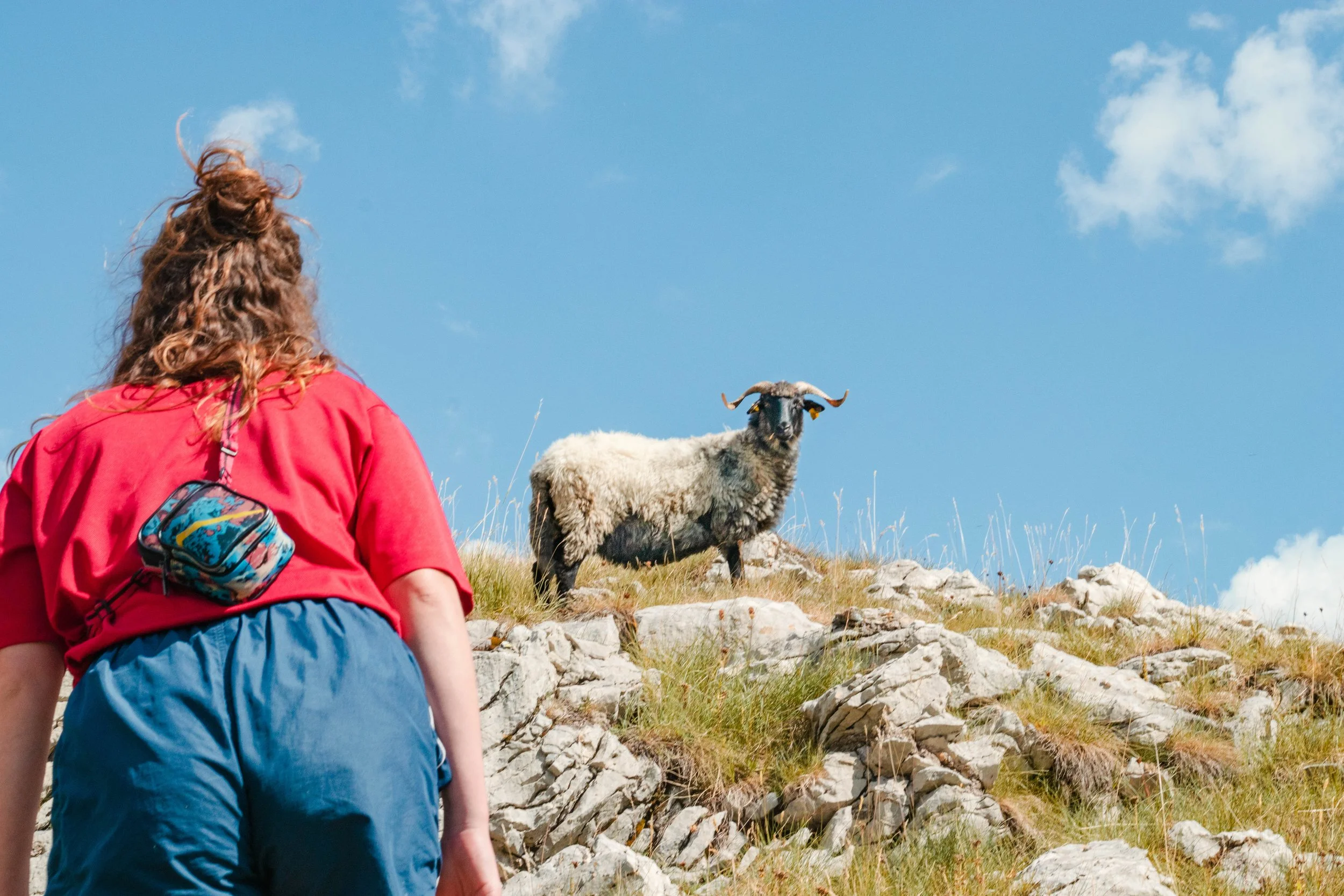 How to Explain Regenerative Agriculture to Customers Who Don't Know What It Means
