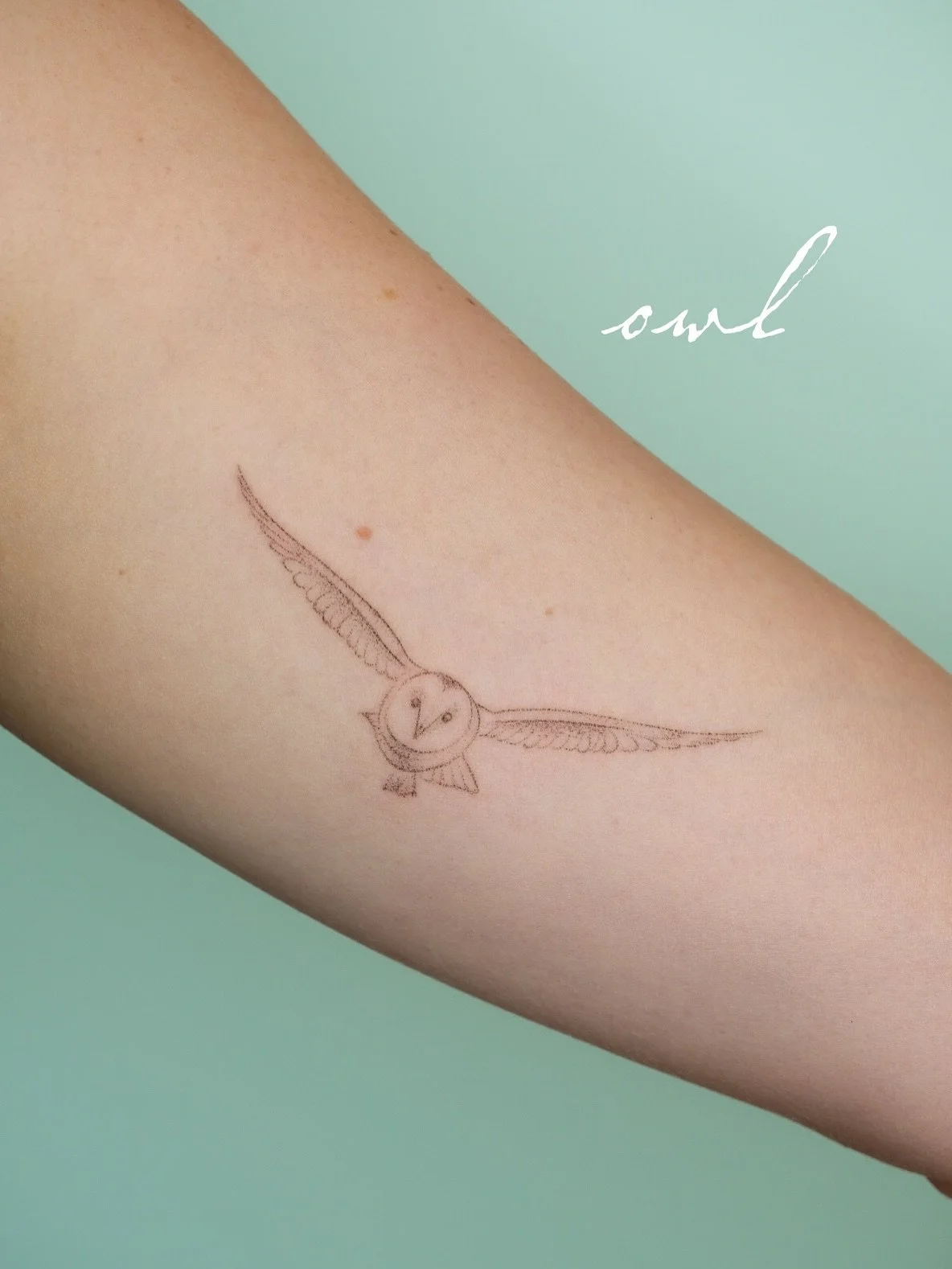 handpoked birds 💕 owl, pigeons, magpies and healed wren ✨ 
booking September Brighton + Sept 15th London 

#handpoke #birdtattoo