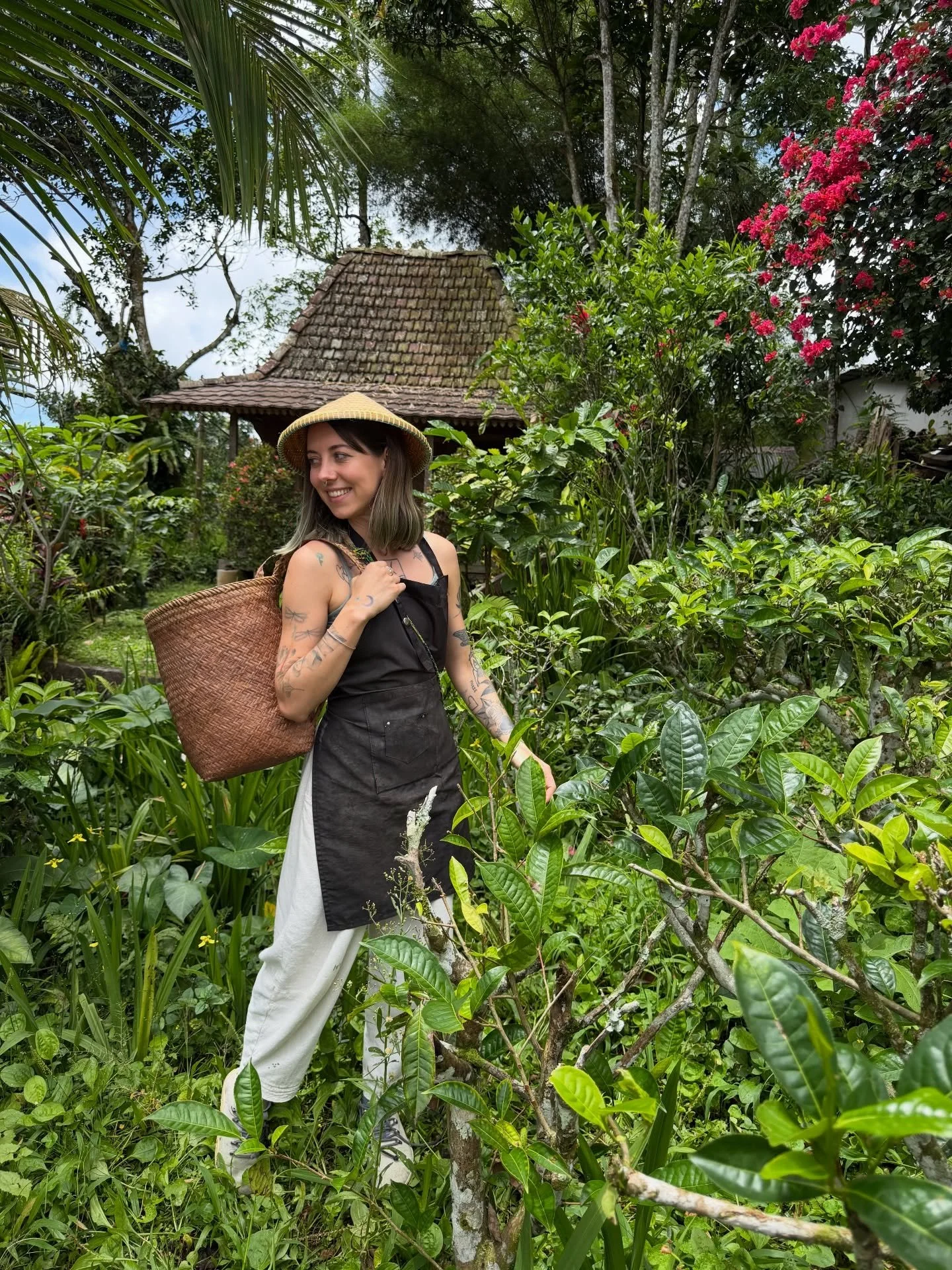 Tea farm visit last month 🌱 meeting camellia sinensis plant and learning about tea processing 💚 
✨ with @barryboullon @dragon.tea.temple